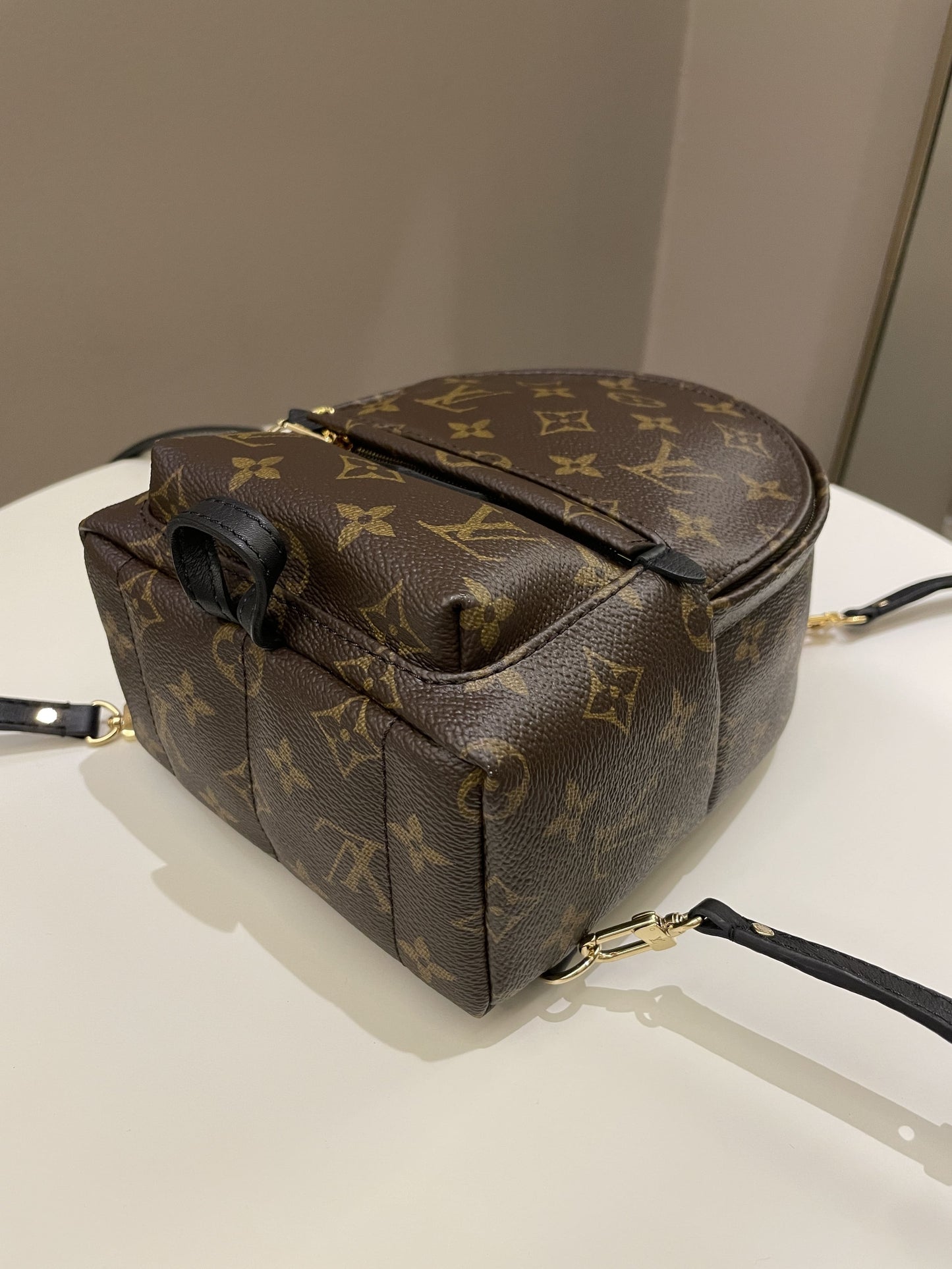 Louis Vuitton Palm Spring Mini Backpack Classic Monogram