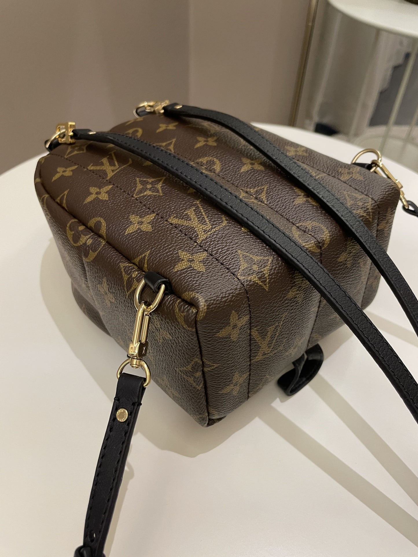 Louis Vuitton Palm Spring Mini Backpack Classic Monogram