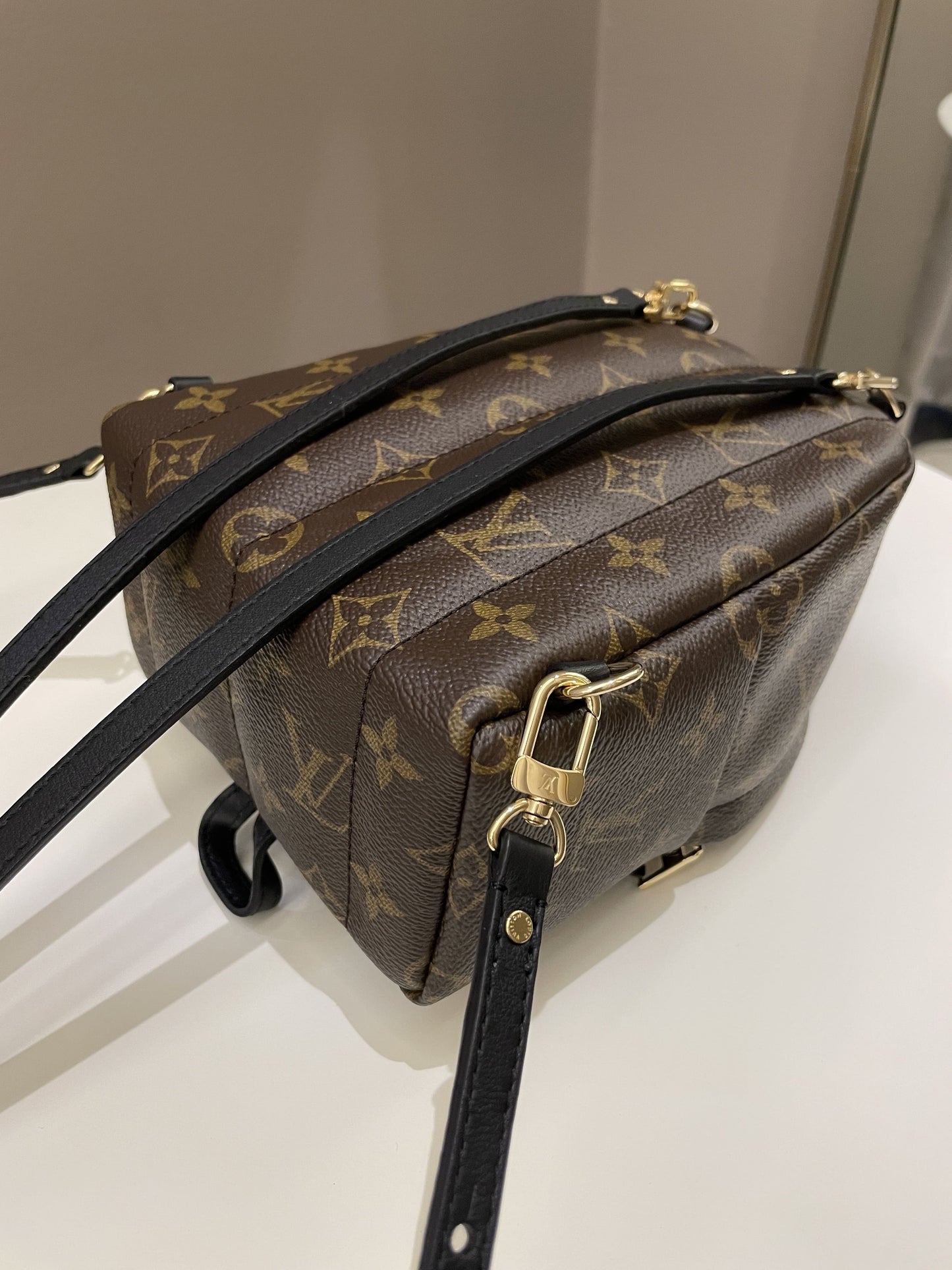 Louis Vuitton Palm Spring Mini Backpack Classic Monogram