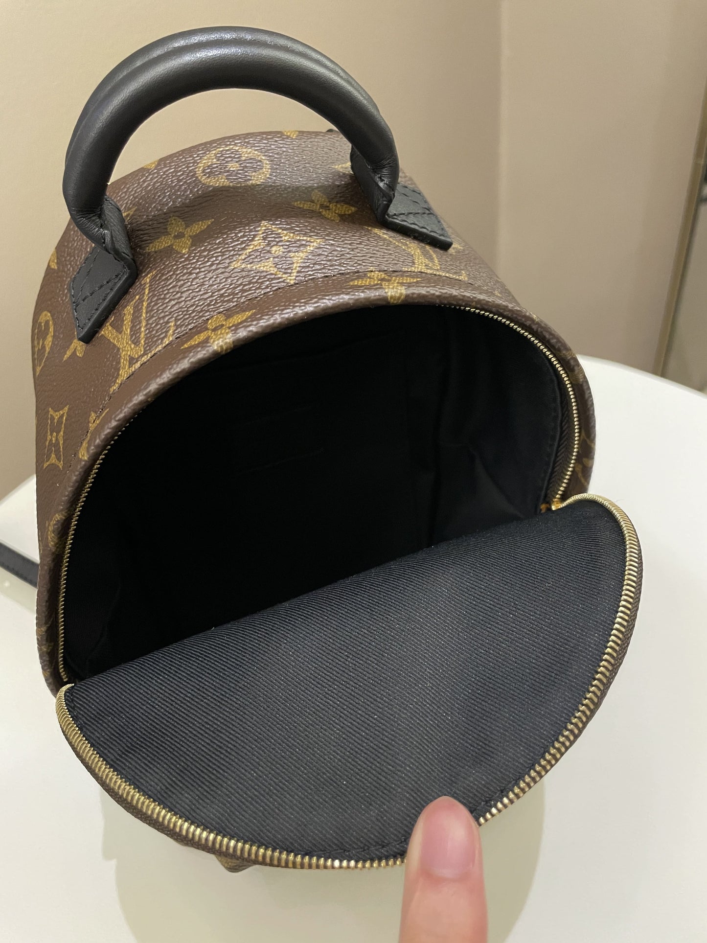 Louis Vuitton Palm Spring Mini Backpack Classic Monogram