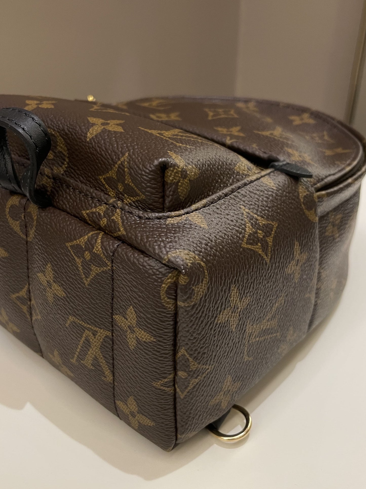 Louis Vuitton Palm Spring Mini Backpack Classic Monogram