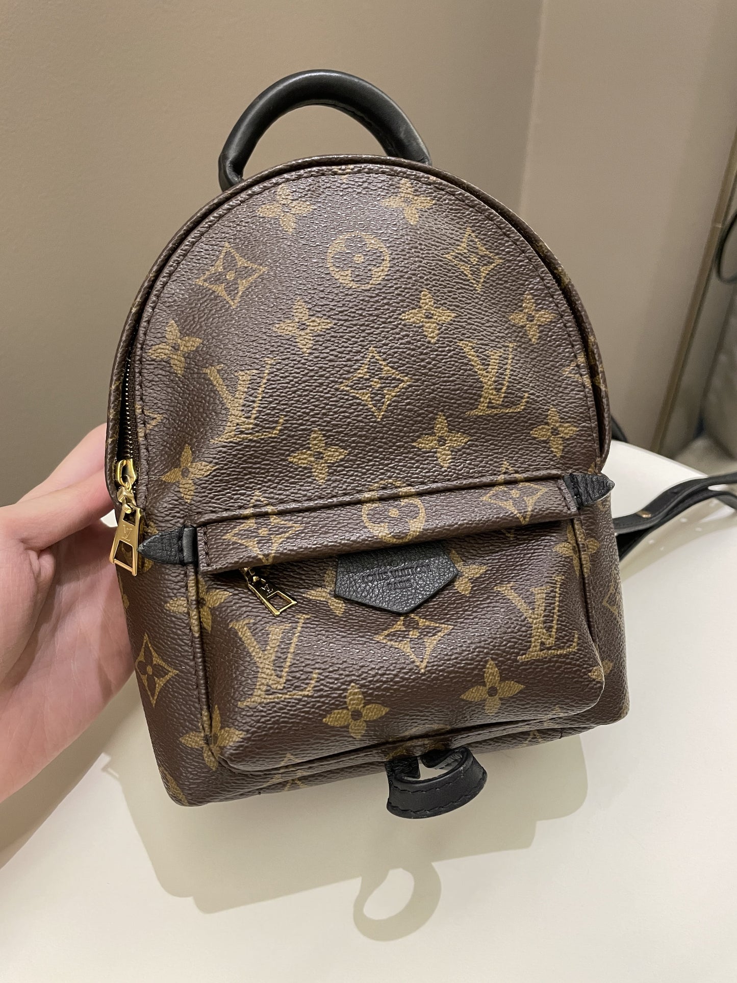 Louis Vuitton Palm Spring Mini Backpack Classic Monogram