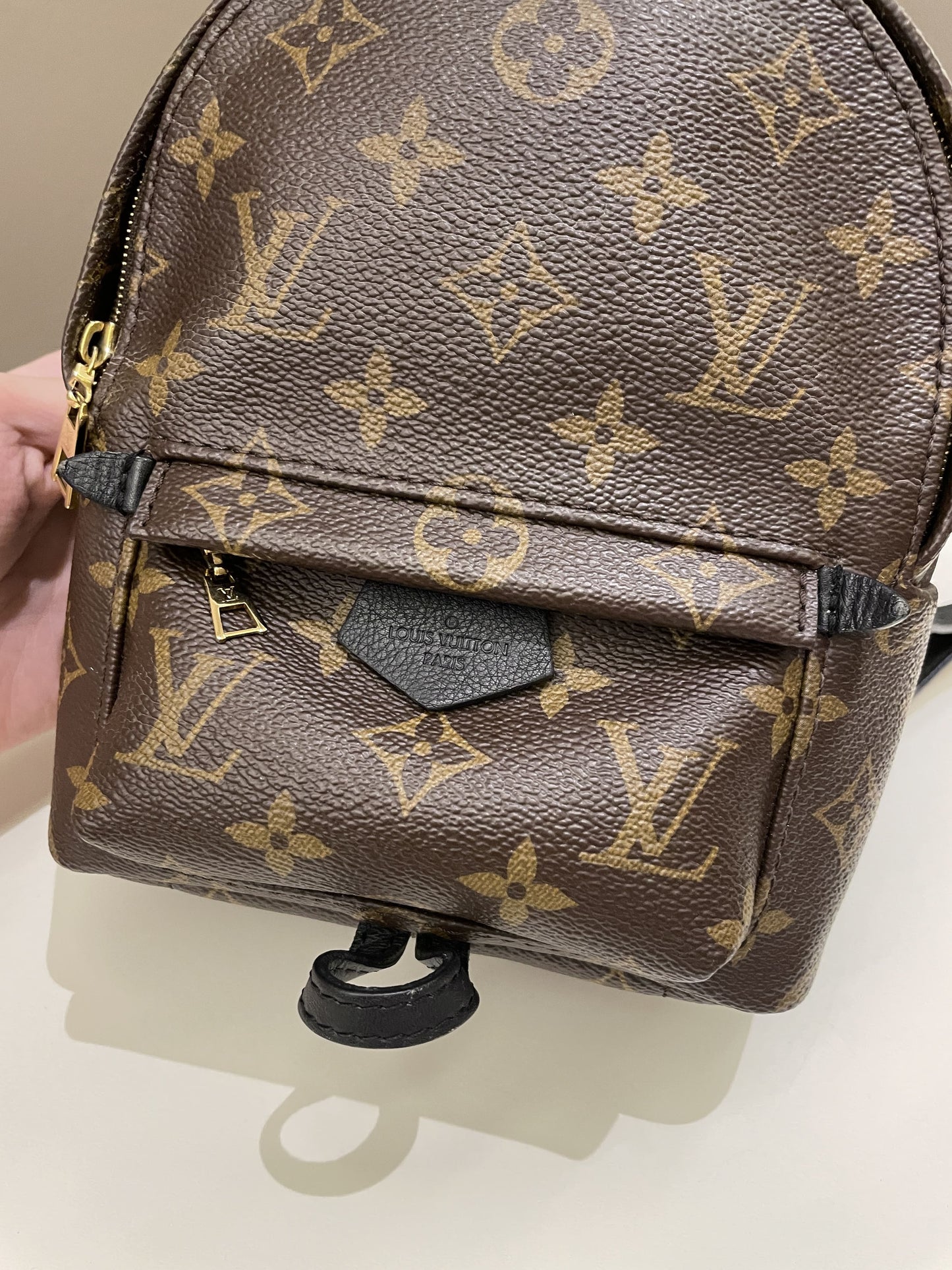 Louis Vuitton Palm Spring Mini Backpack Classic Monogram