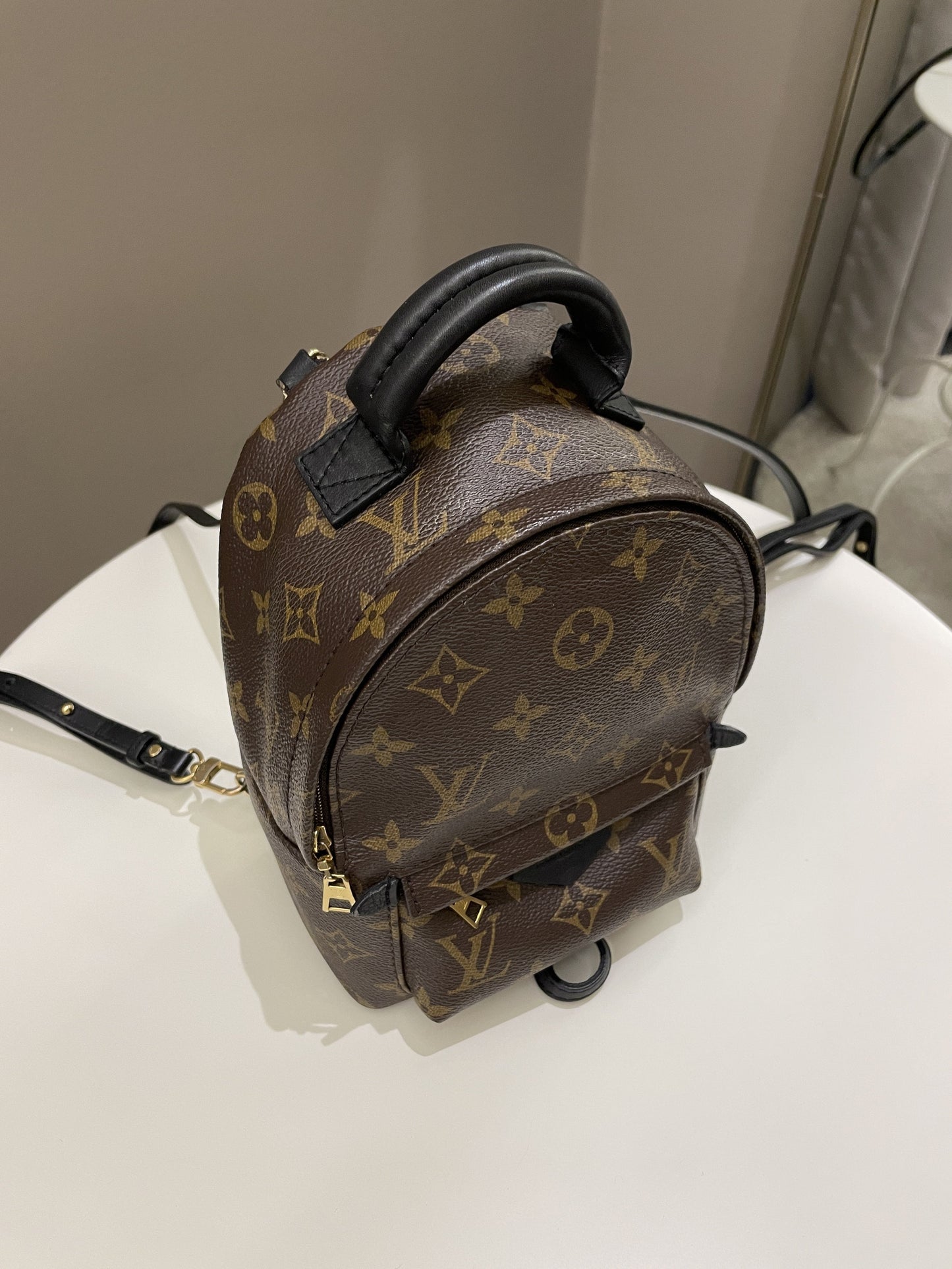 Louis Vuitton Palm Spring Mini Backpack Classic Monogram