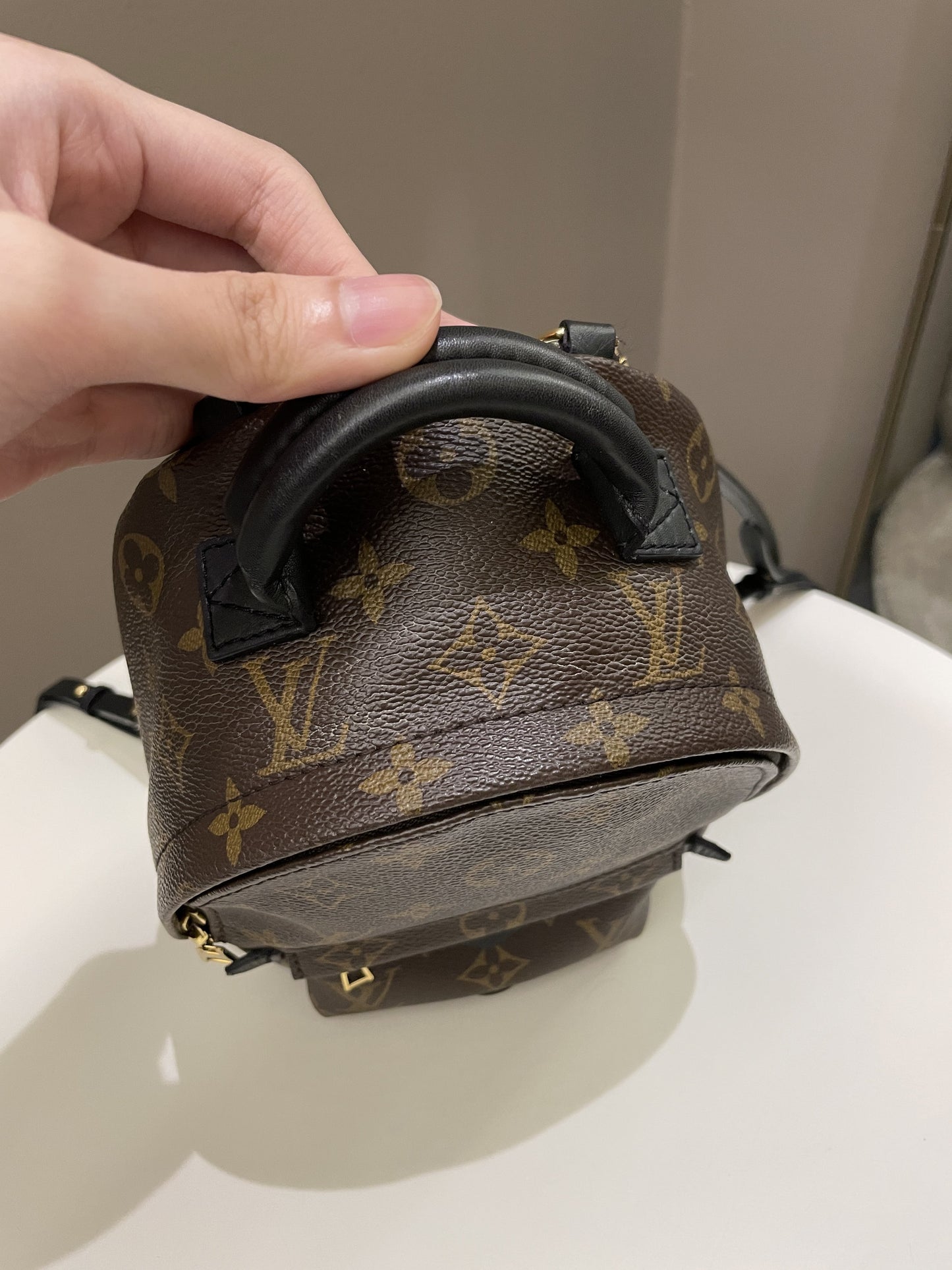 Louis Vuitton Palm Spring Mini Backpack Classic Monogram