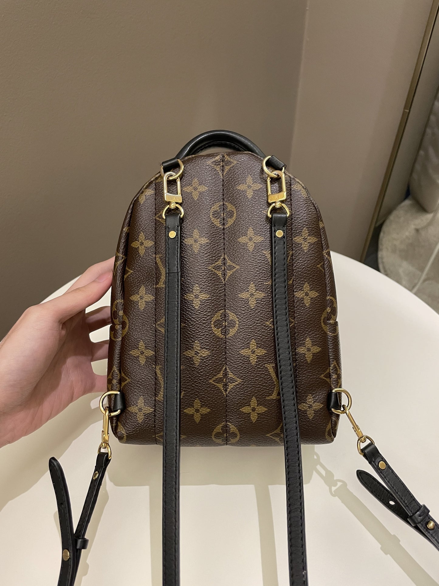 Louis Vuitton Palm Spring Mini Backpack Classic Monogram