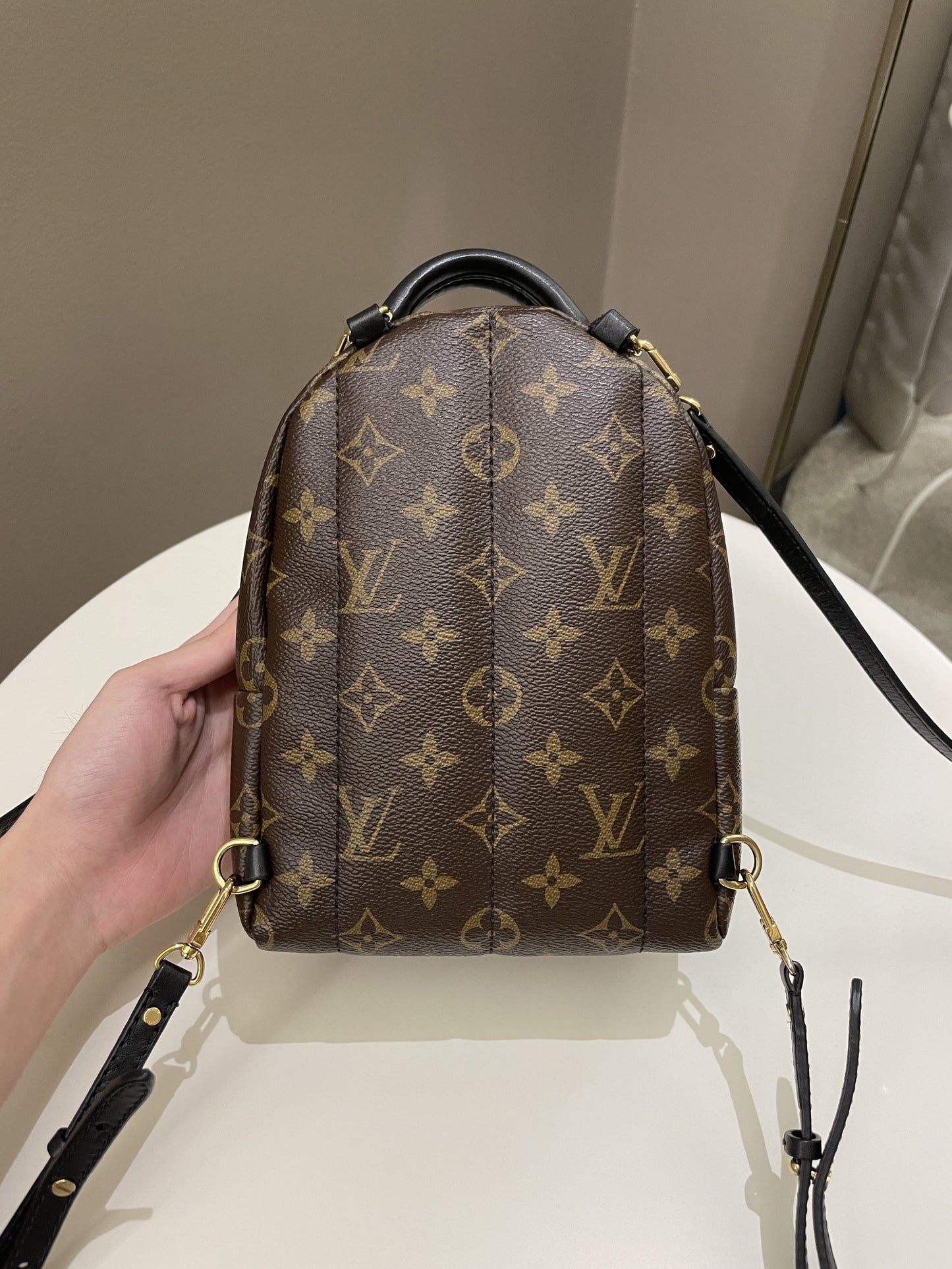 Louis Vuitton Palm Spring Mini Backpack Classic Monogram