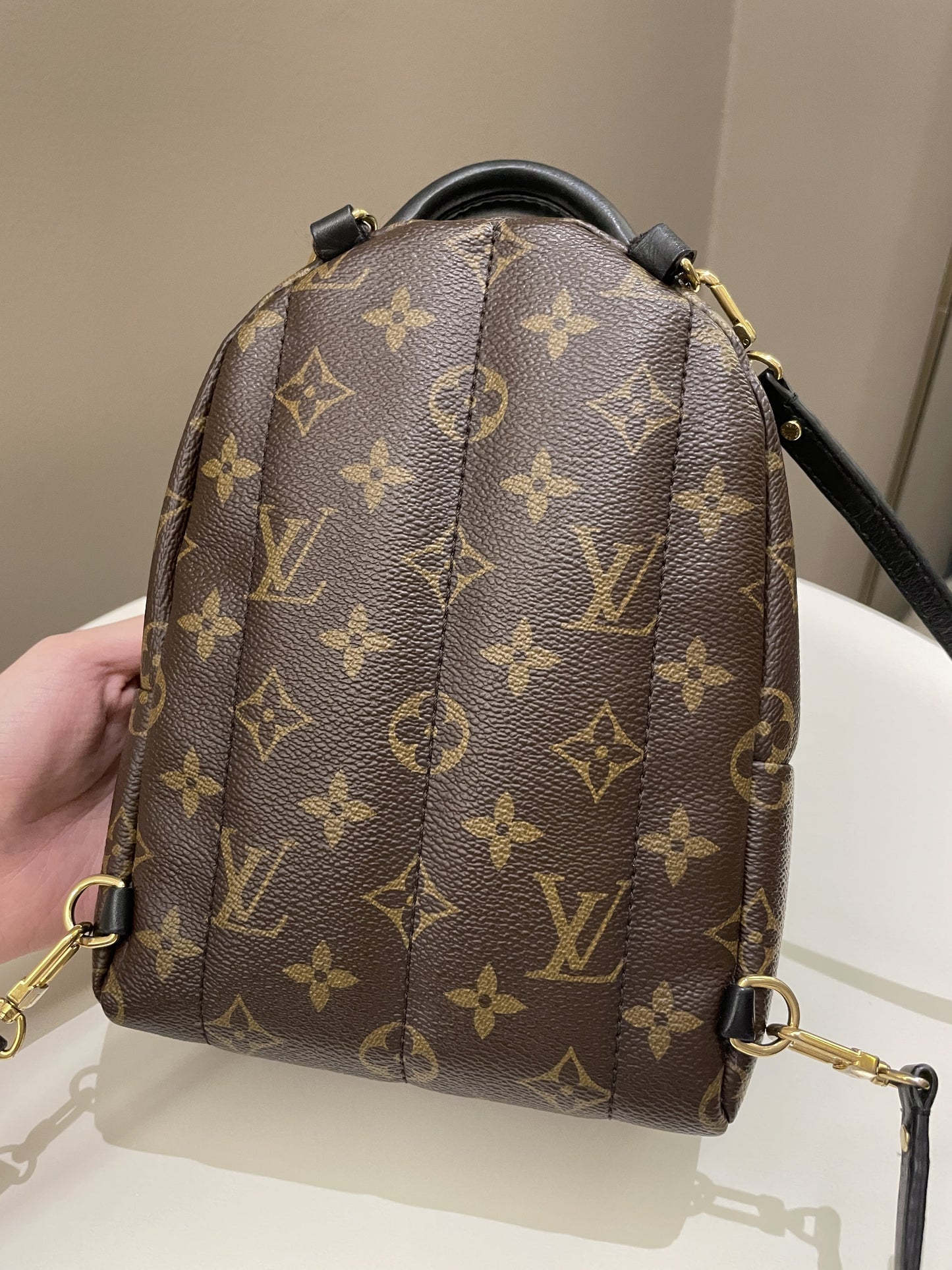 Louis Vuitton Palm Spring Mini Backpack Classic Monogram