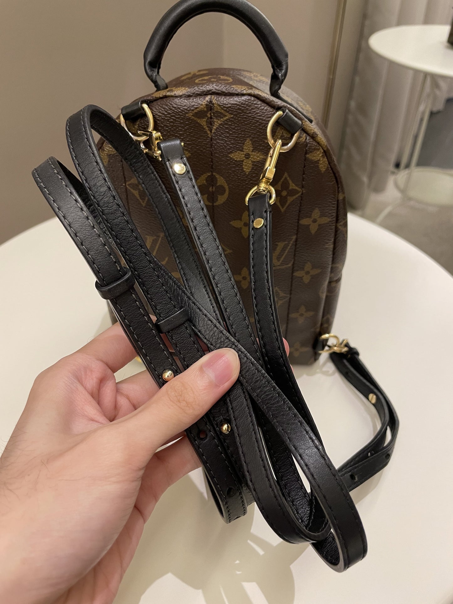 Louis Vuitton Palm Spring Mini Backpack Classic Monogram