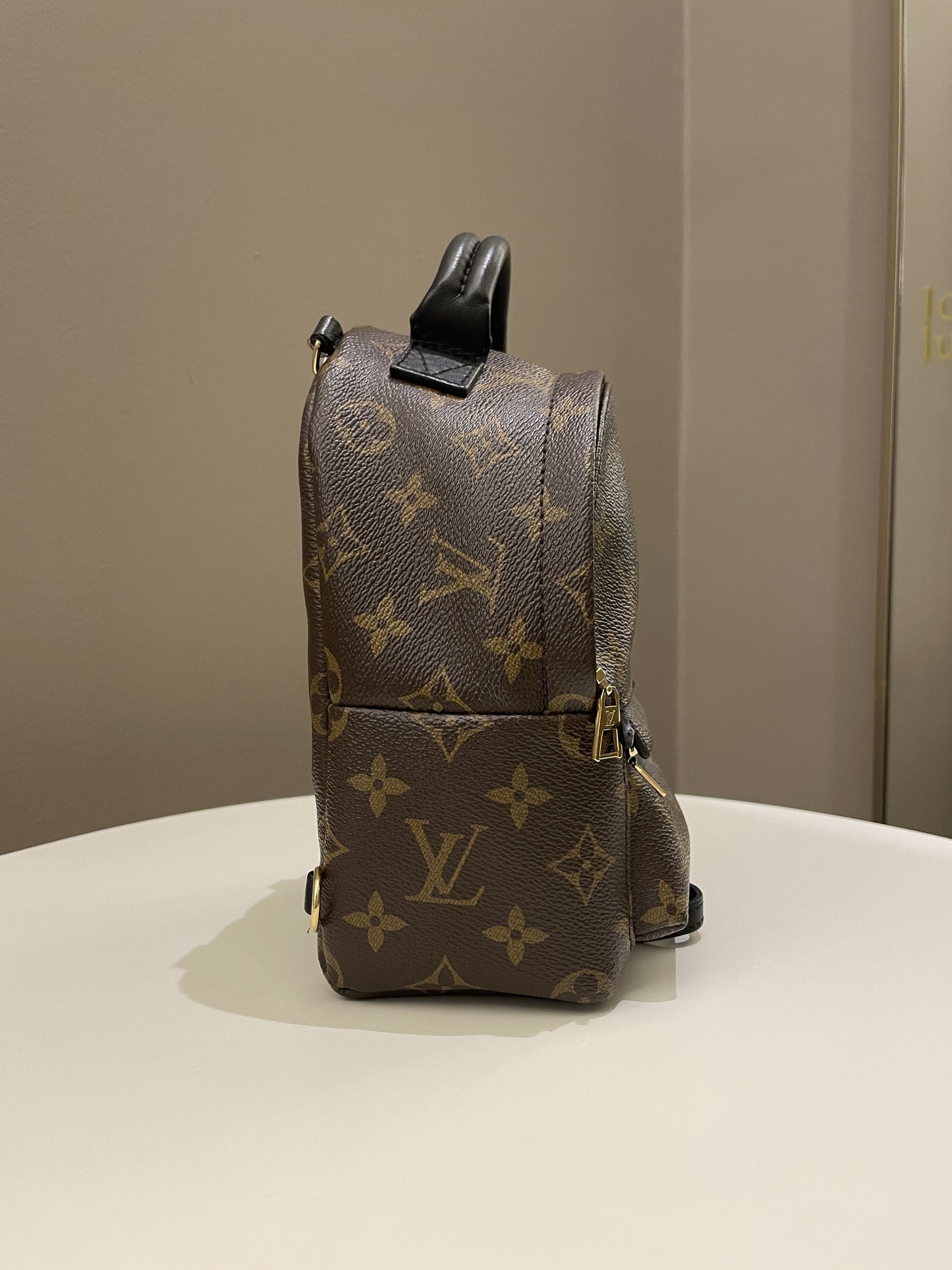 Louis Vuitton Palm Spring Mini Backpack Classic Monogram