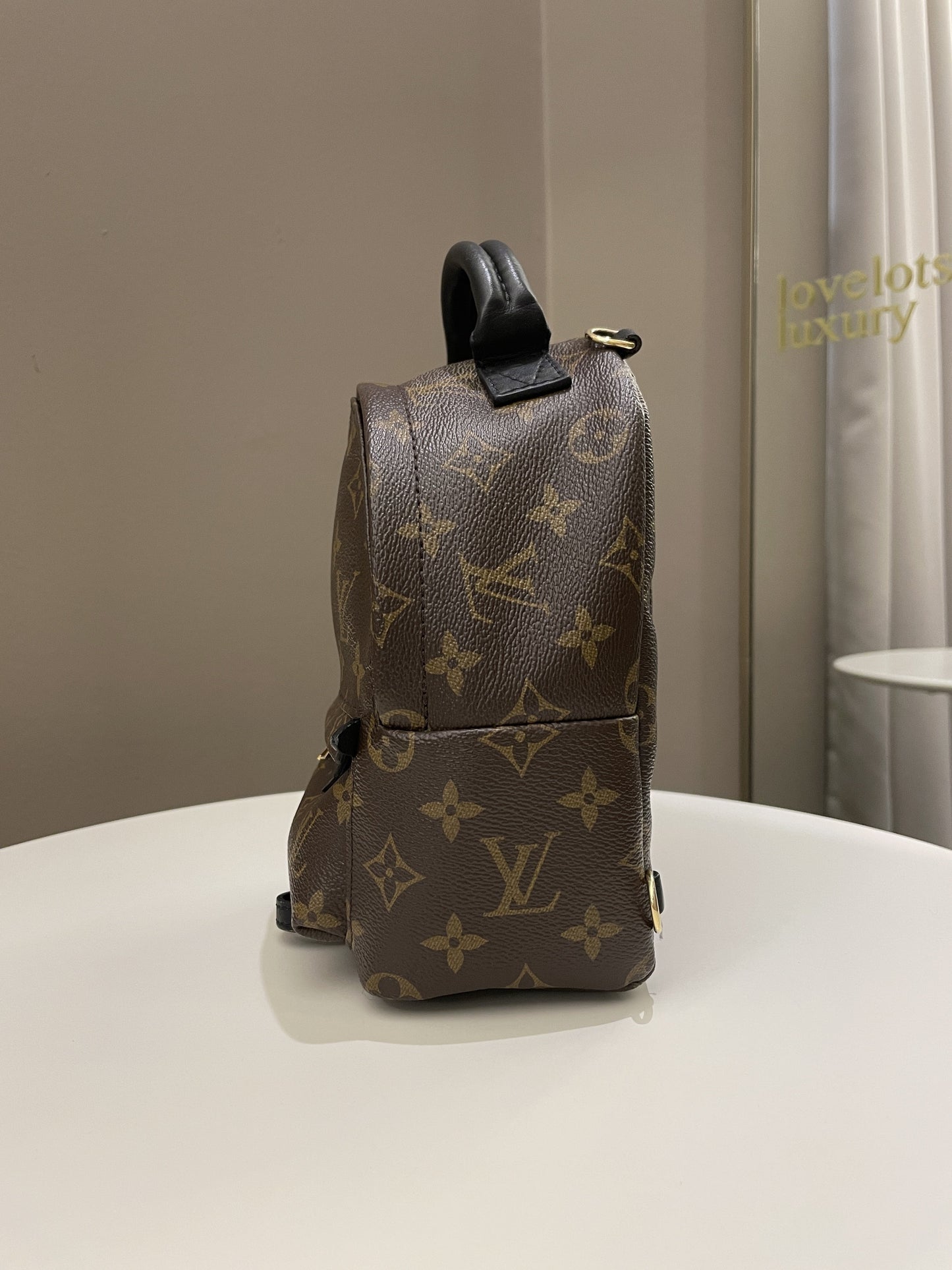 Louis Vuitton Palm Spring Mini Backpack Classic Monogram