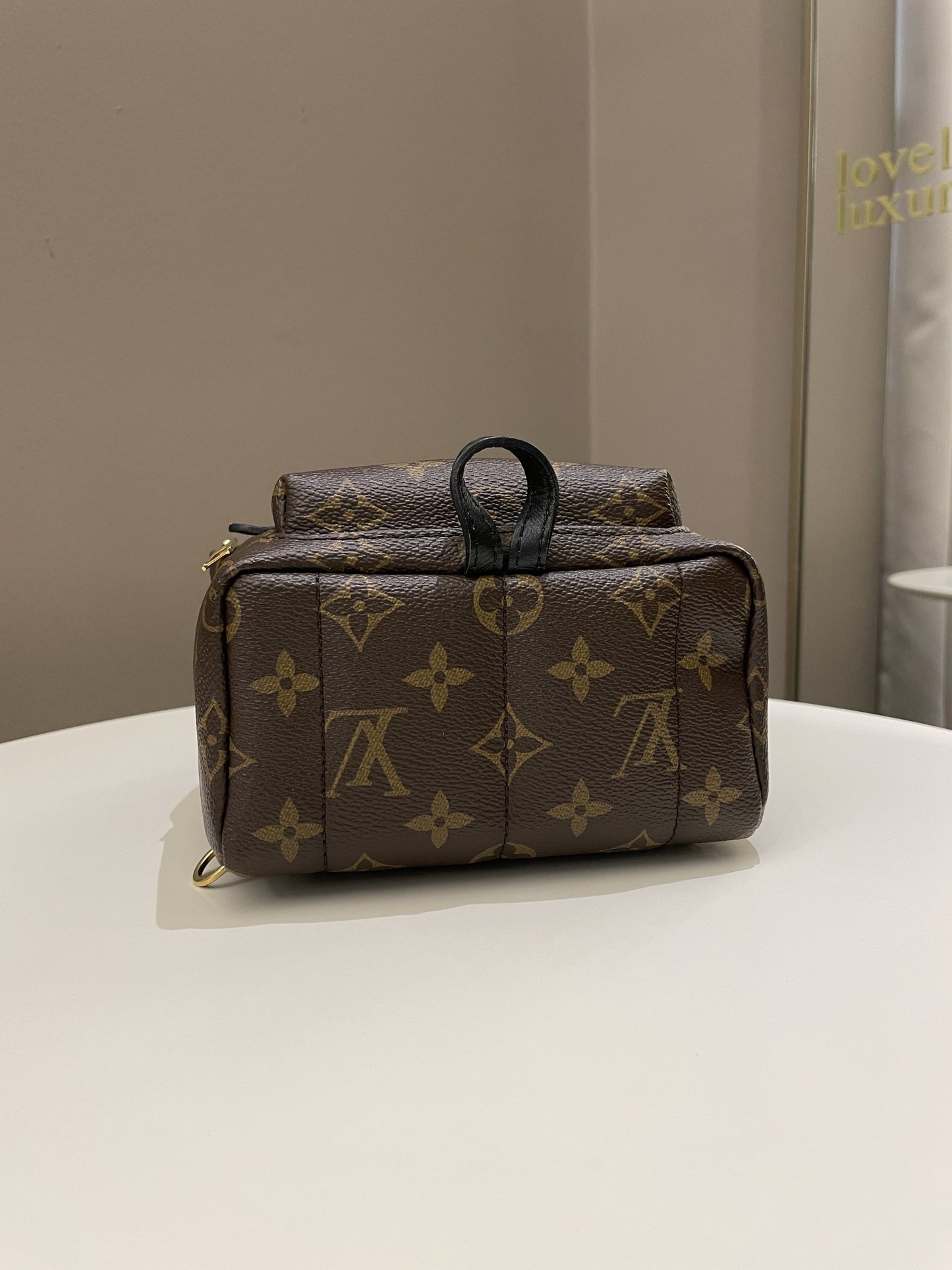 Louis Vuitton Palm Spring Mini Backpack Classic Monogram