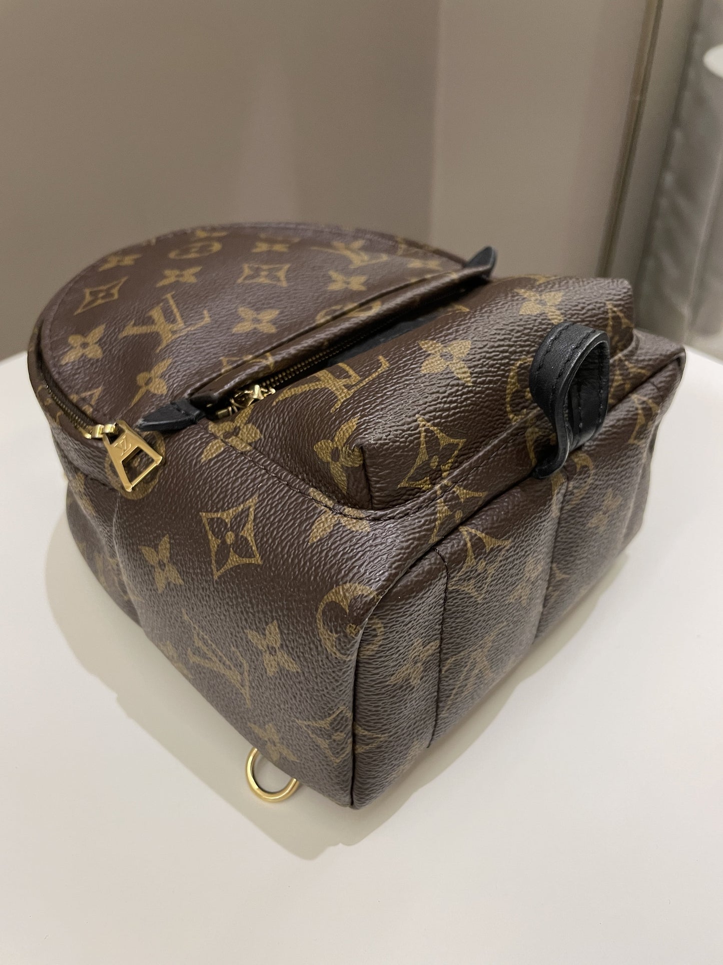 Louis Vuitton Palm Spring Mini Backpack Classic Monogram