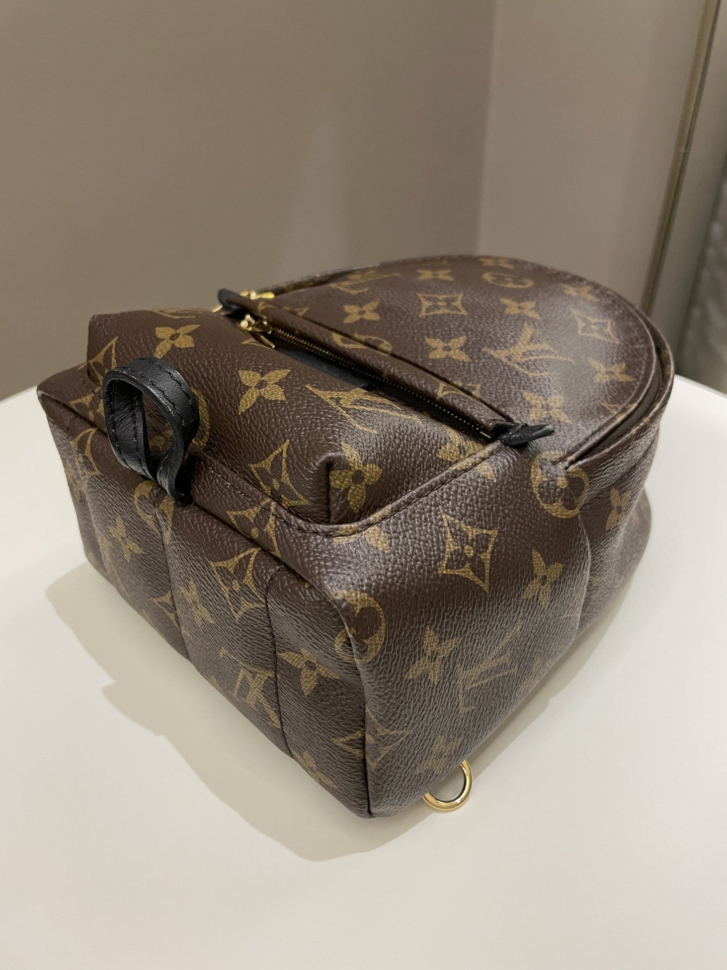 Louis Vuitton Palm Spring Mini Backpack Classic Monogram