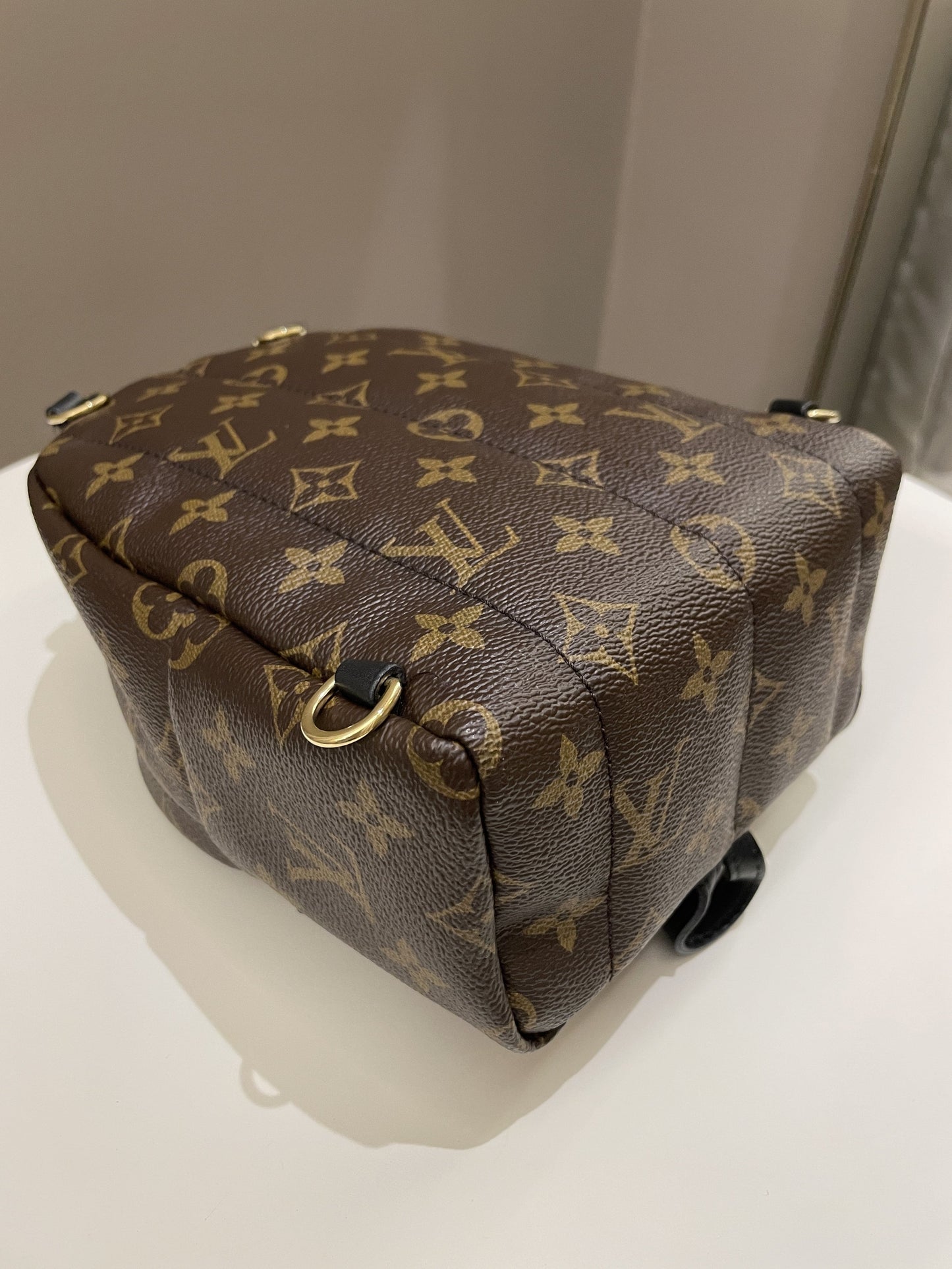 Louis Vuitton Palm Spring Mini Backpack Classic Monogram