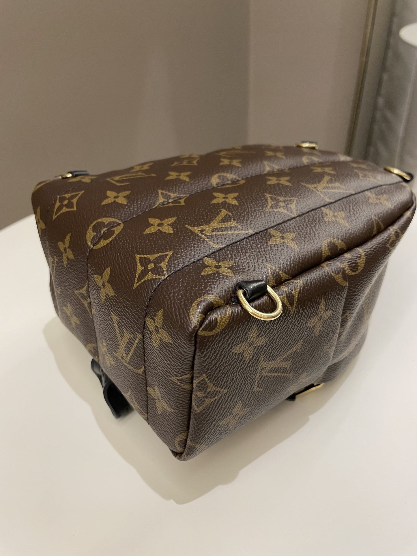 Louis Vuitton Palm Spring Mini Backpack Classic Monogram