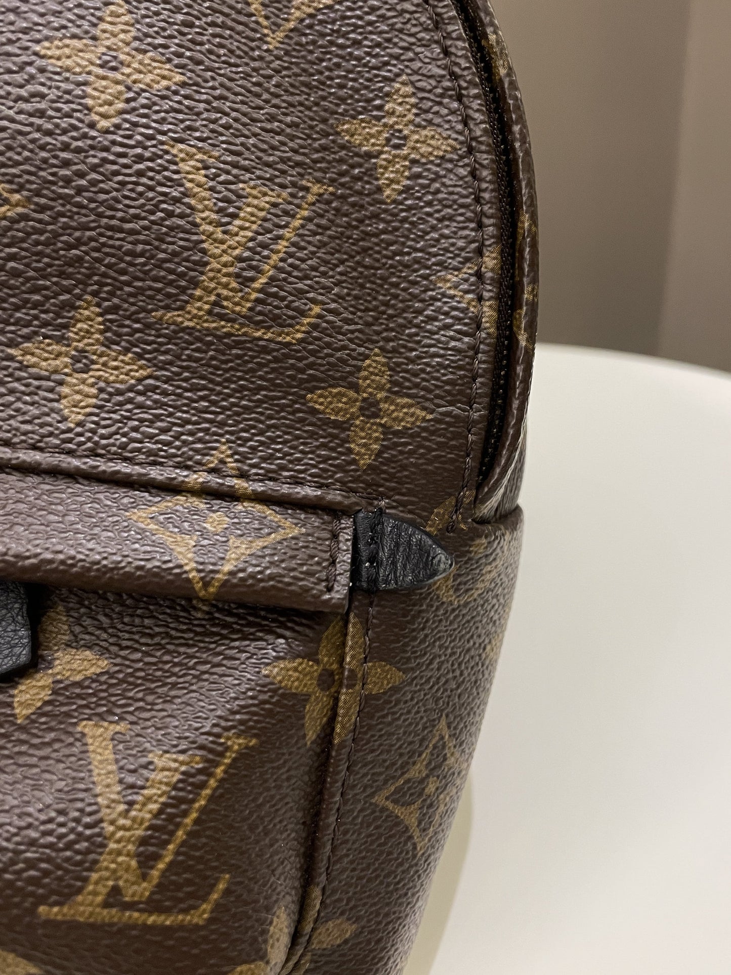 Louis Vuitton Palm Spring Mini Backpack Classic Monogram