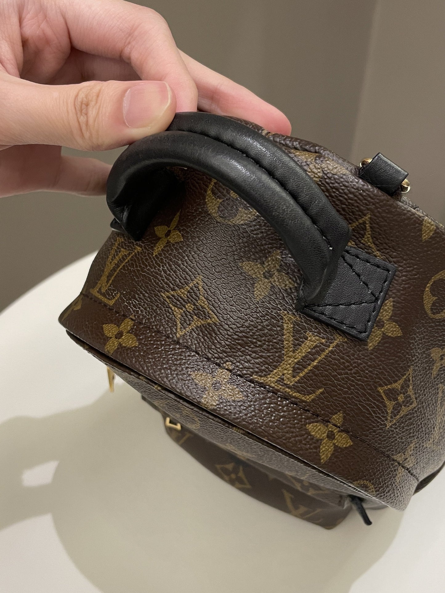 Louis Vuitton Palm Spring Mini Backpack Classic Monogram