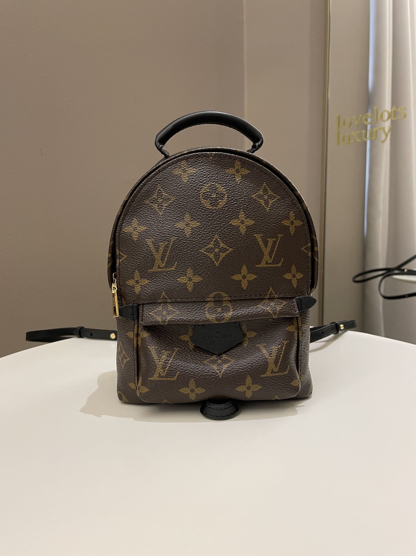 Louis Vuitton Palm Spring Mini Backpack Classic Monogram