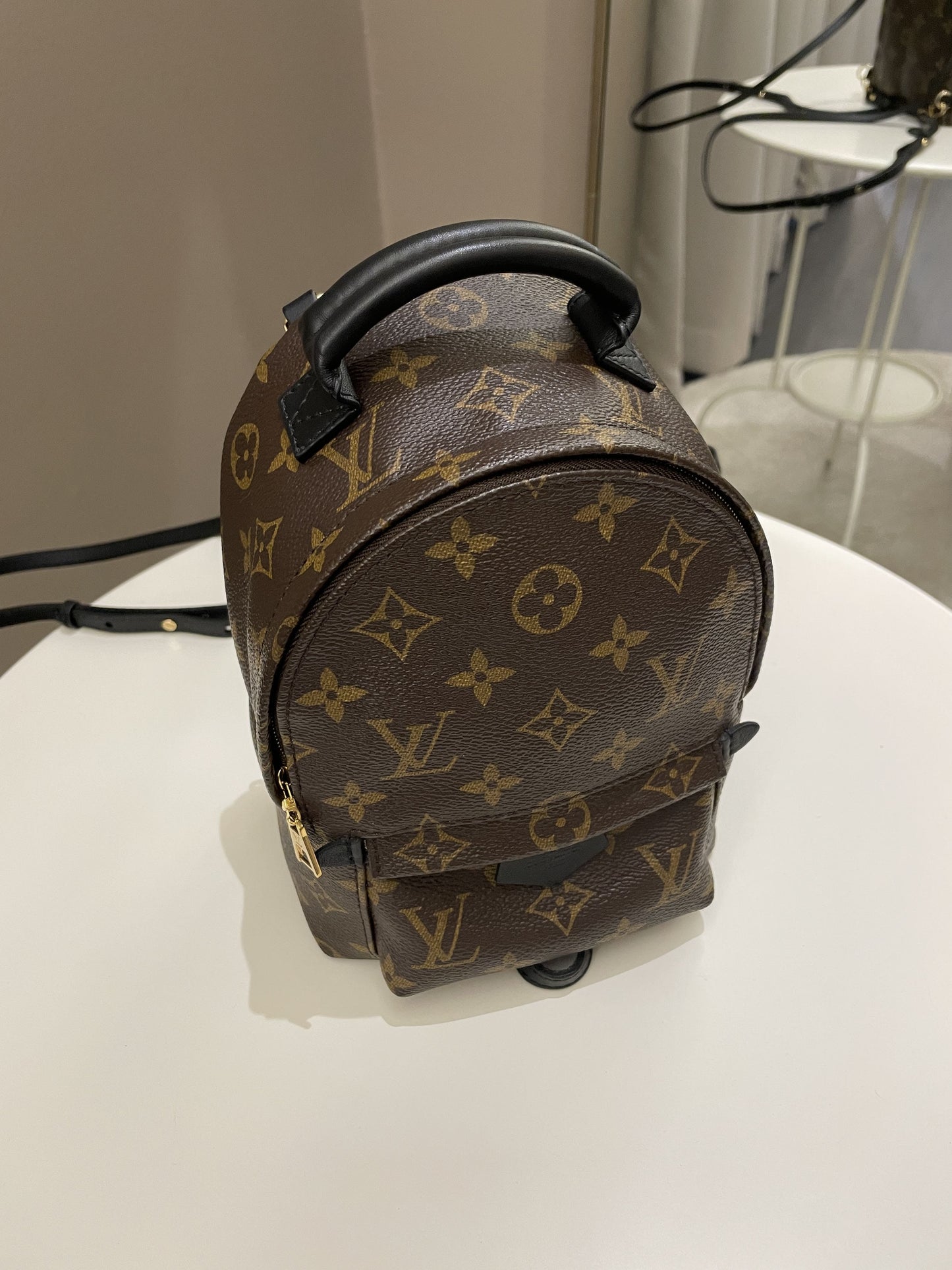 Louis Vuitton Palm Spring Mini Backpack Classic Monogram