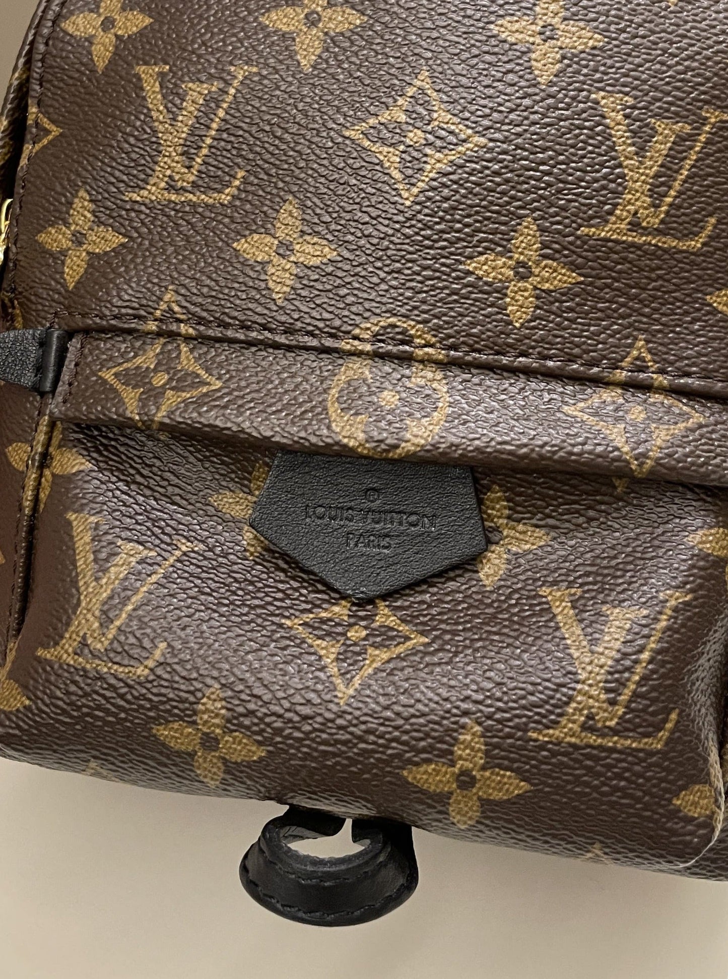 Louis Vuitton Palm Spring Mini Backpack Classic Monogram