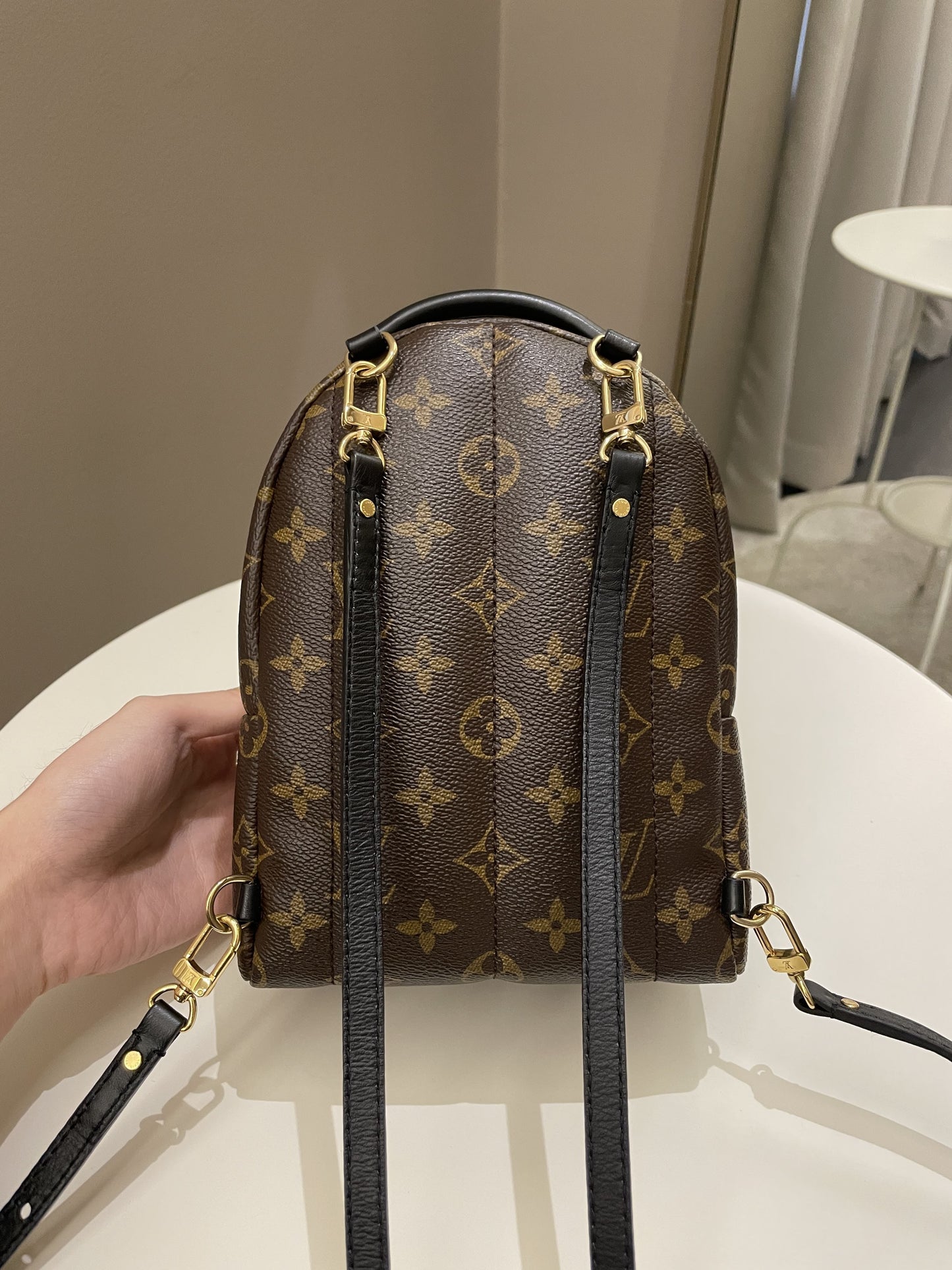 Louis Vuitton Palm Spring Mini Backpack Classic Monogram