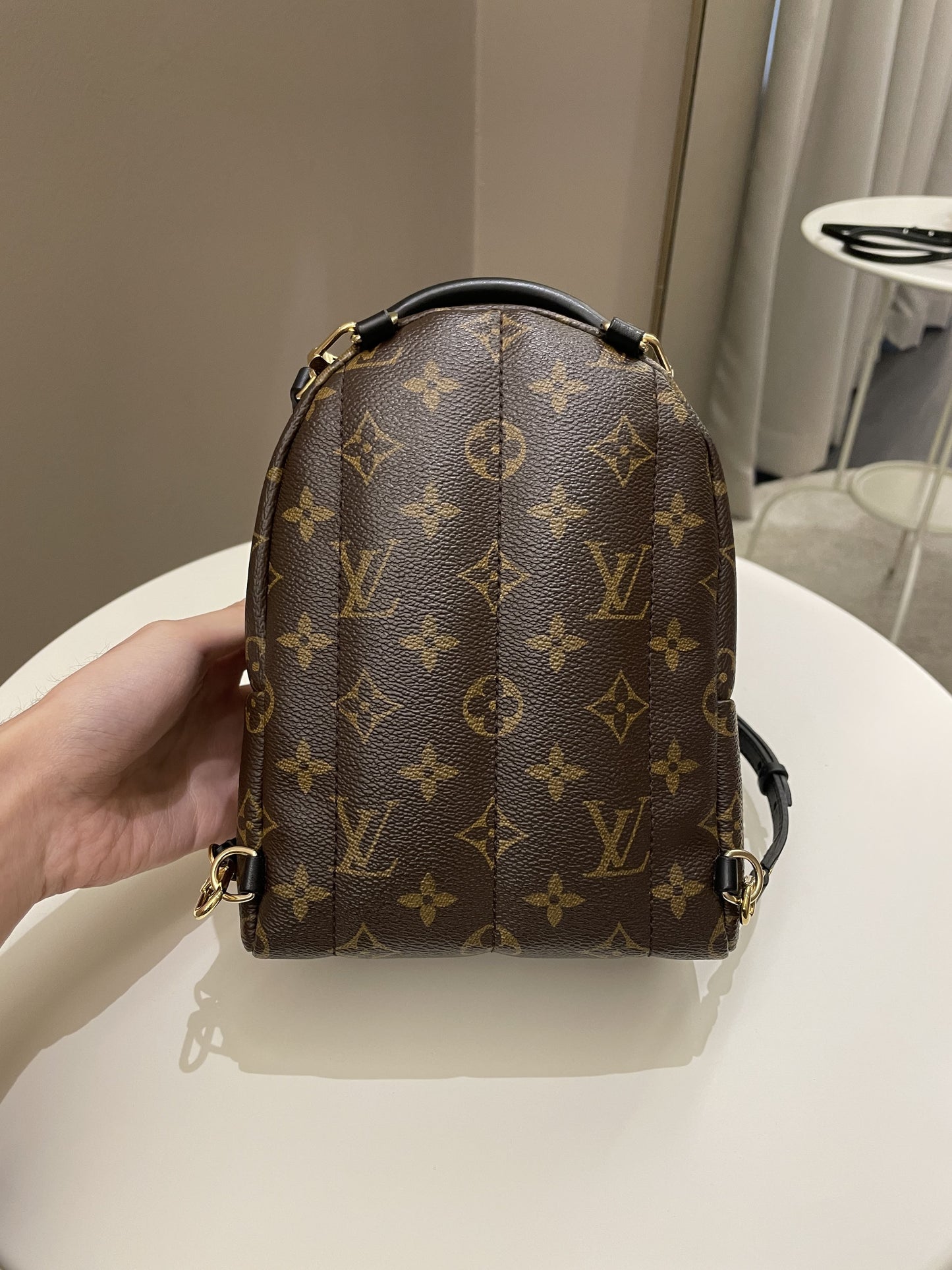 Louis Vuitton Palm Spring Mini Backpack Classic Monogram