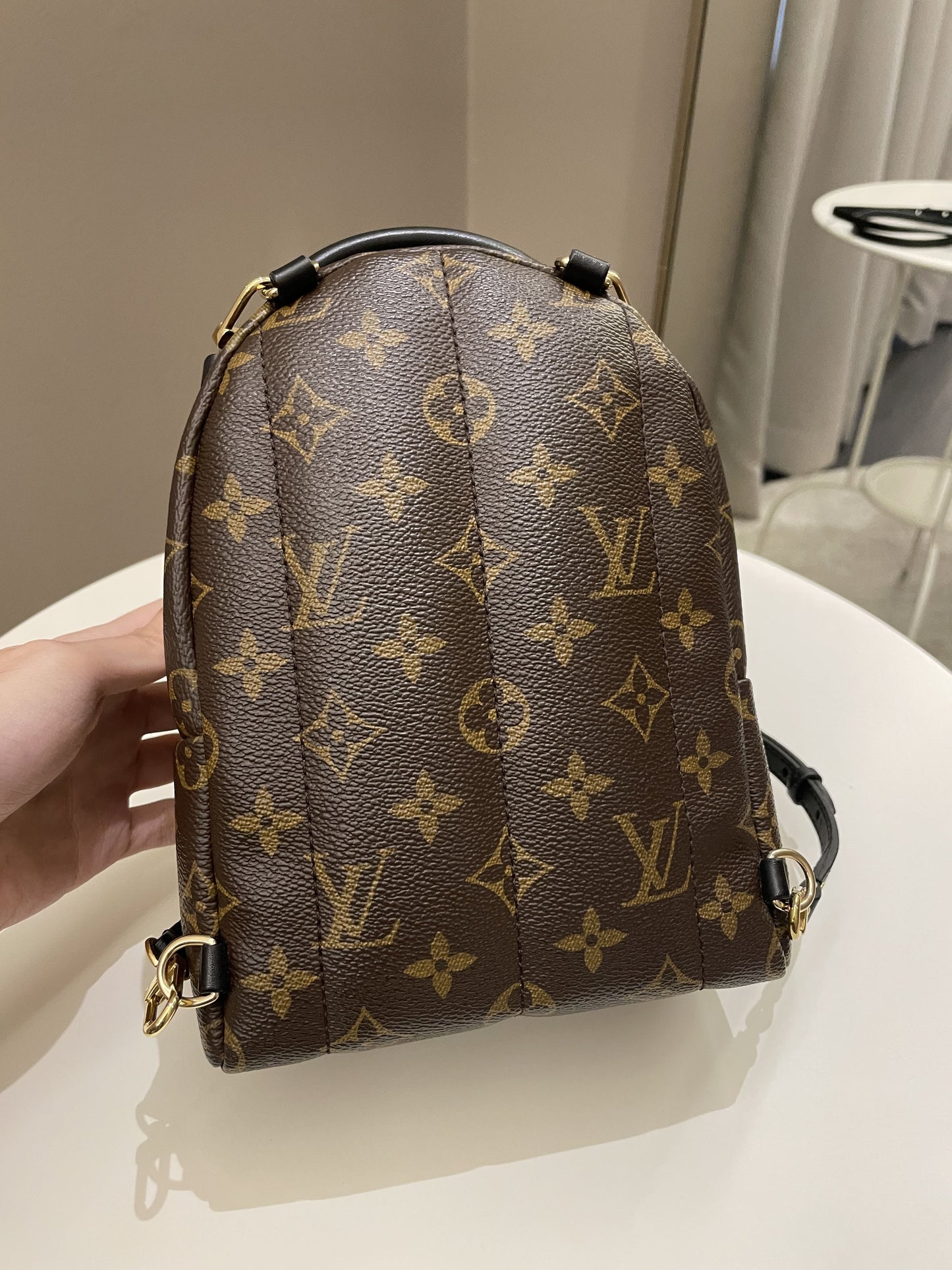 Louis Vuitton Palm Spring Mini Backpack Classic Monogram