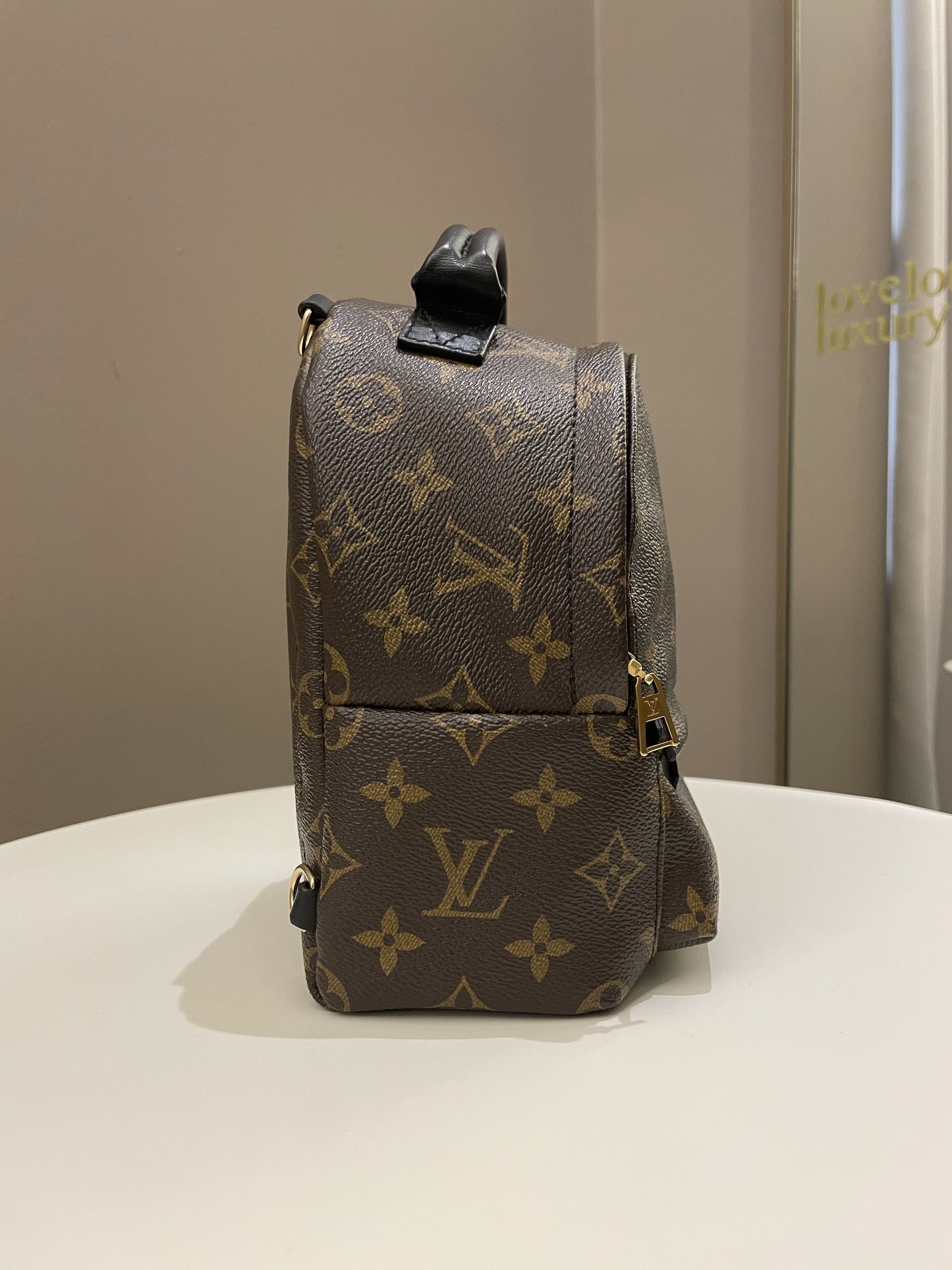 Louis Vuitton Palm Spring Mini Backpack Classic Monogram