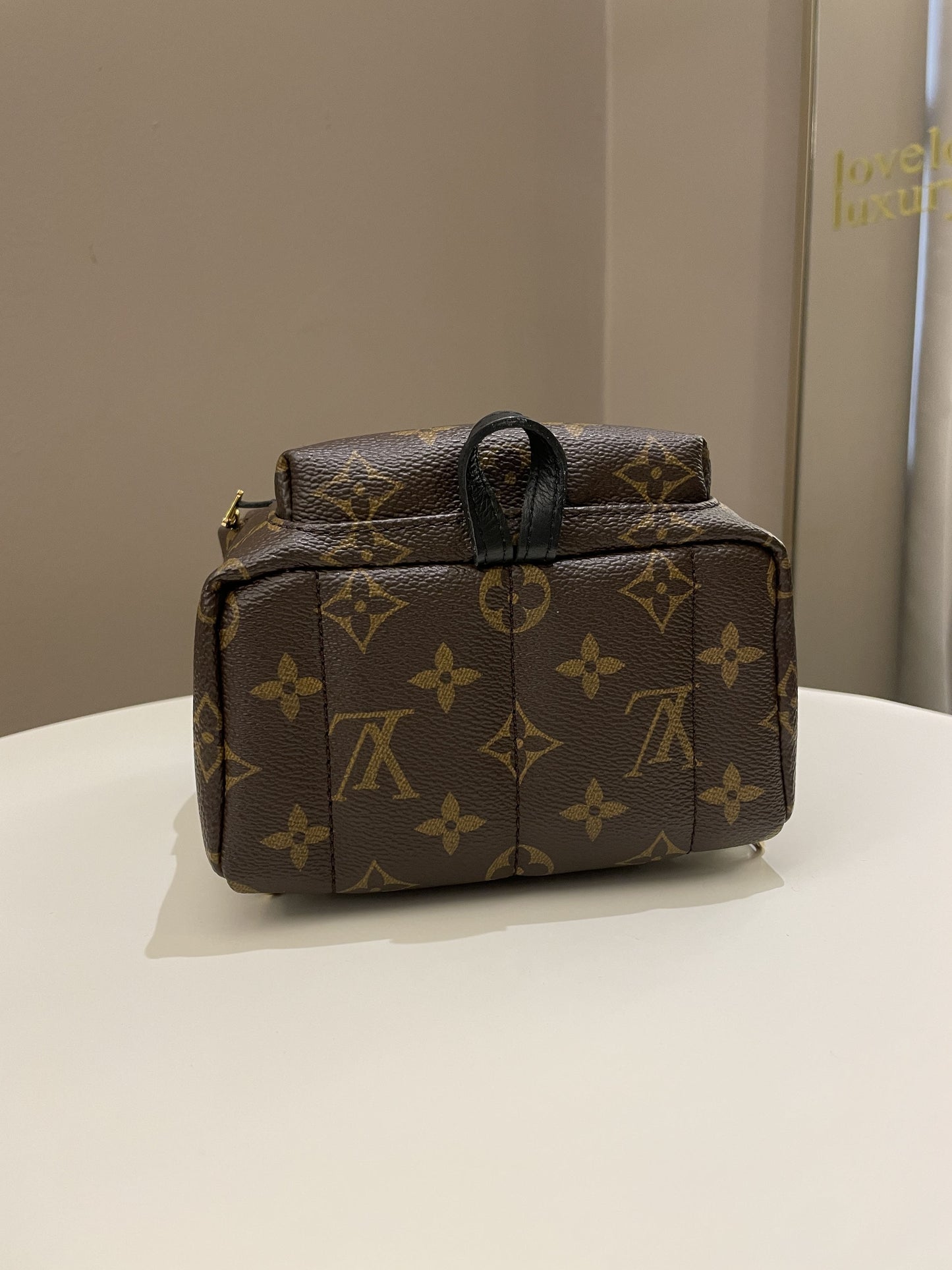 Louis Vuitton Palm Spring Mini Backpack Classic Monogram