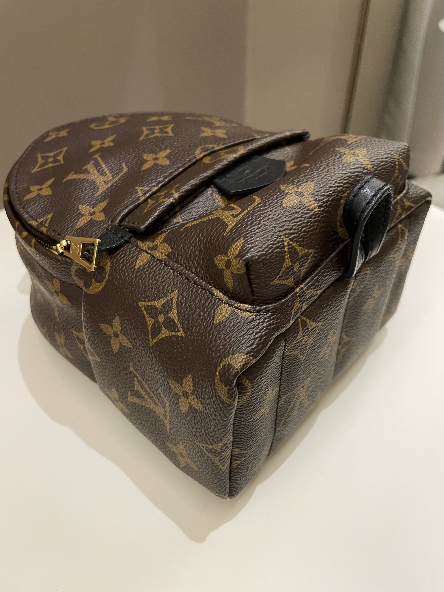 Louis Vuitton Palm Spring Mini Backpack Classic Monogram