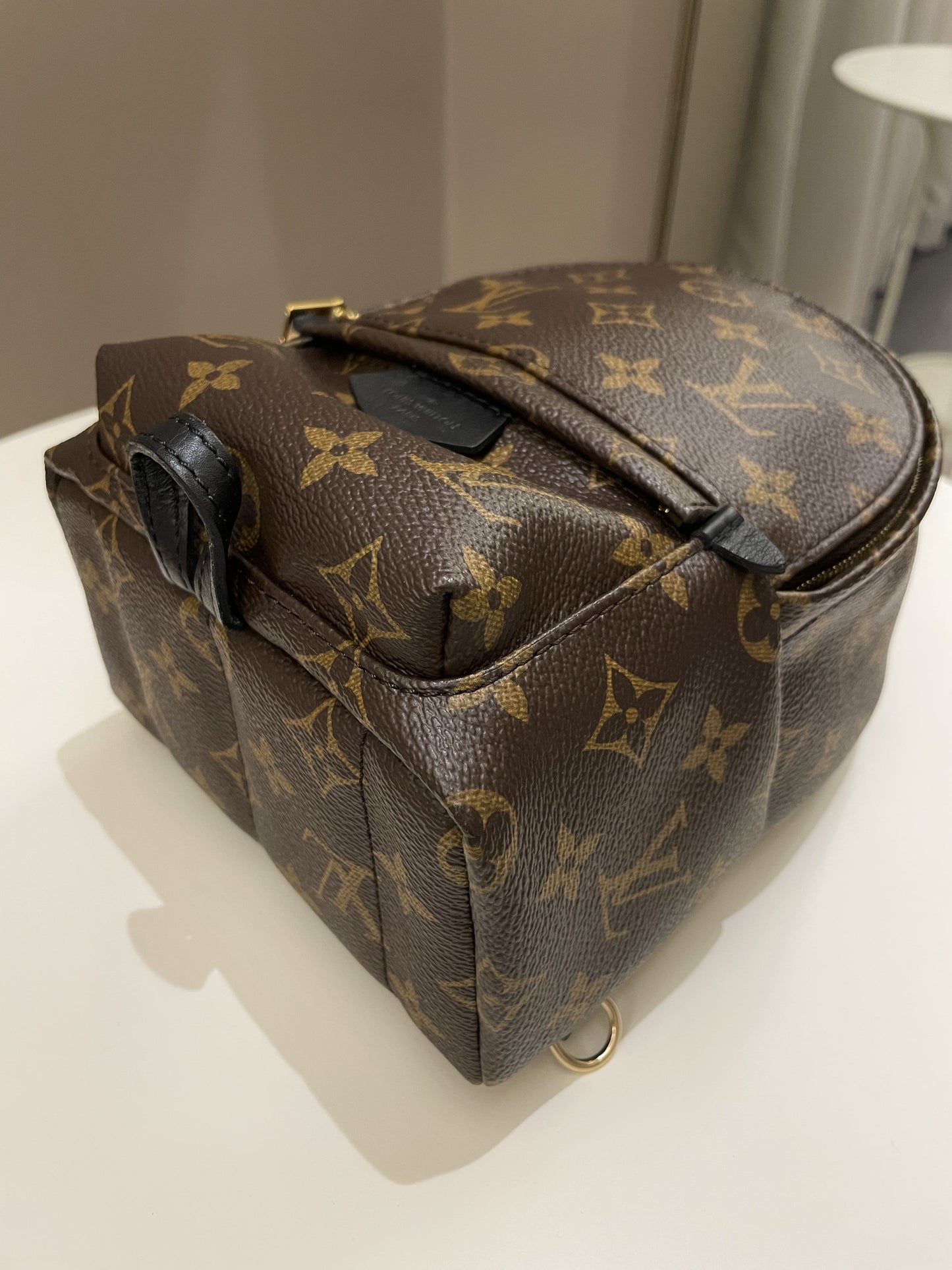 Louis Vuitton Palm Spring Mini Backpack Classic Monogram