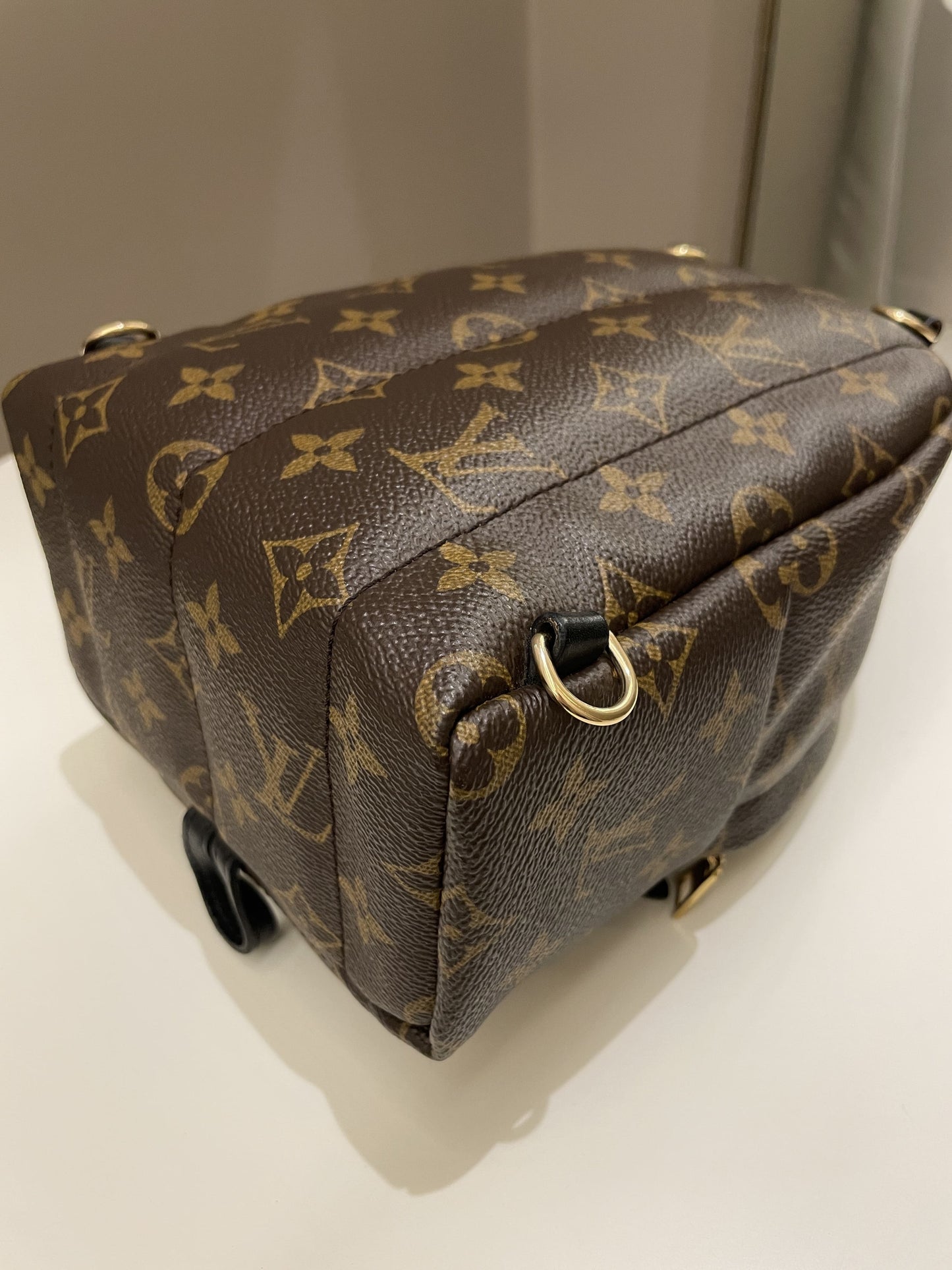 Louis Vuitton Palm Spring Mini Backpack Classic Monogram