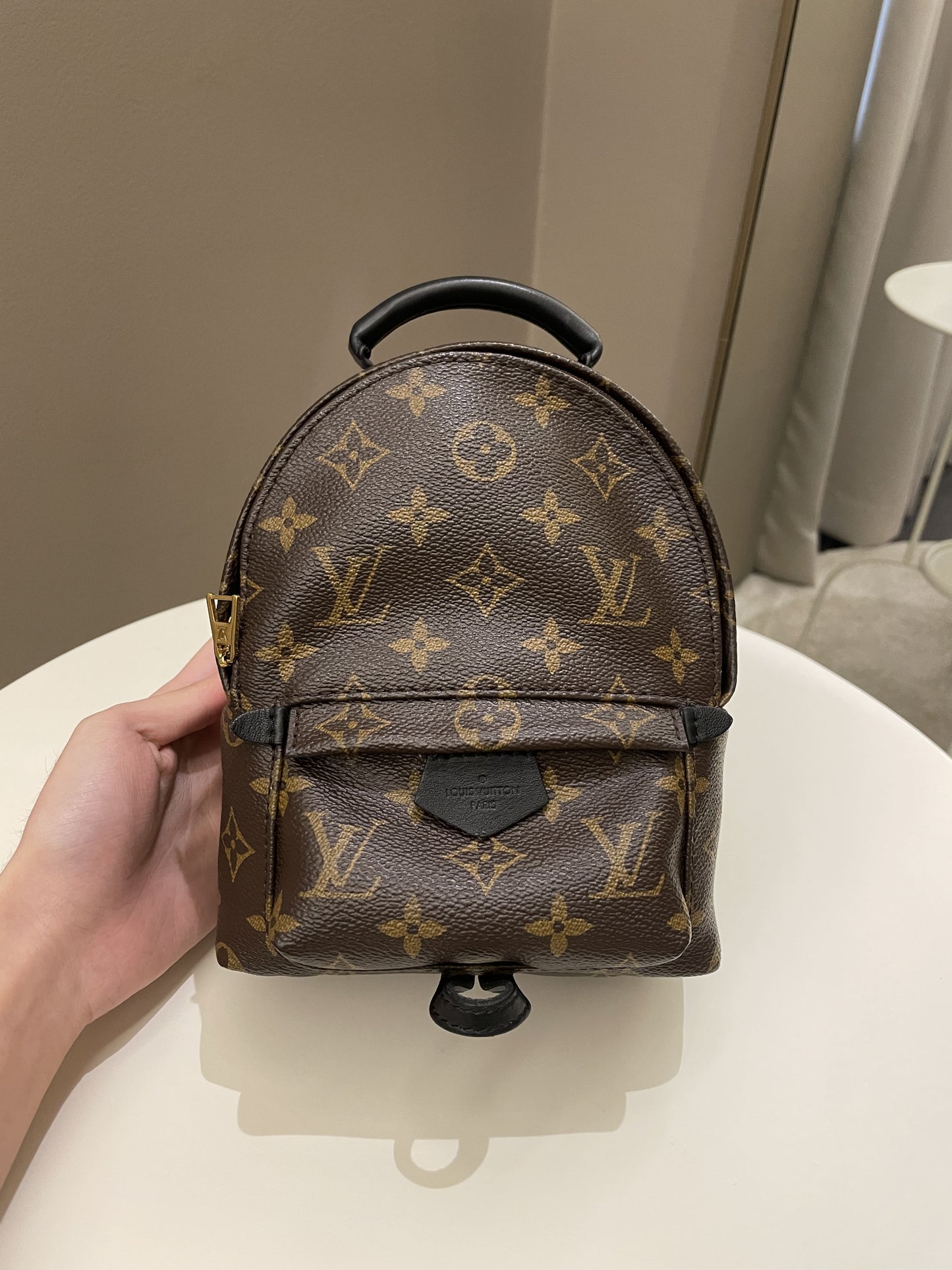 Louis Vuitton Palm Spring Mini Backpack Classic Monogram