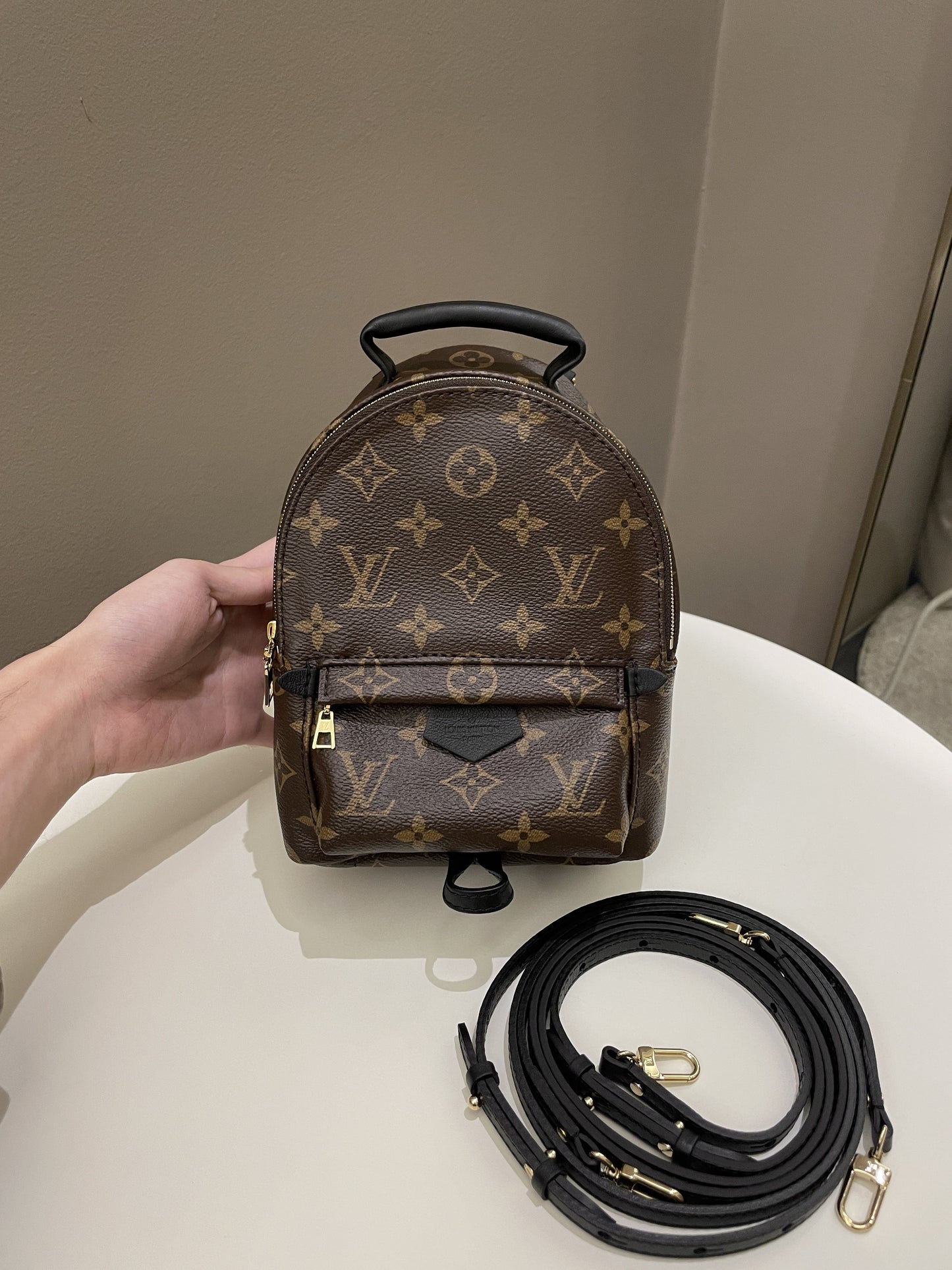 Louis Vuitton Palm Spring Mini Backpack Classic Monogram