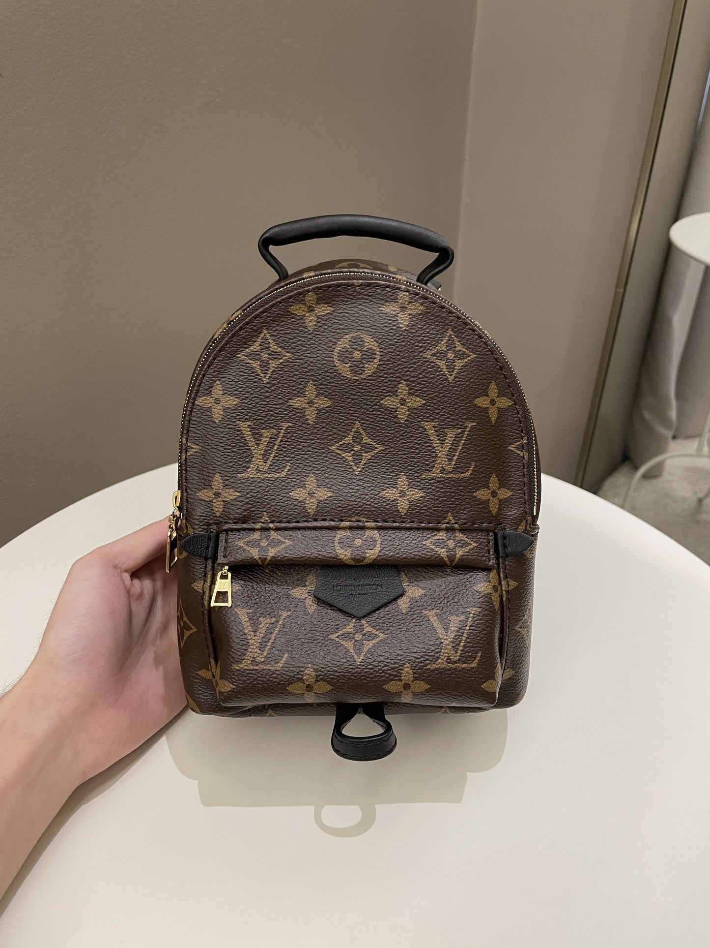 Louis Vuitton Palm Spring Mini Backpack Classic Monogram