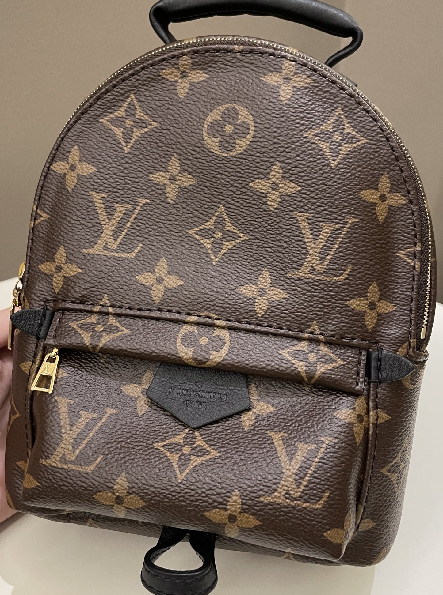 Louis Vuitton Palm Spring Mini Backpack Classic Monogram