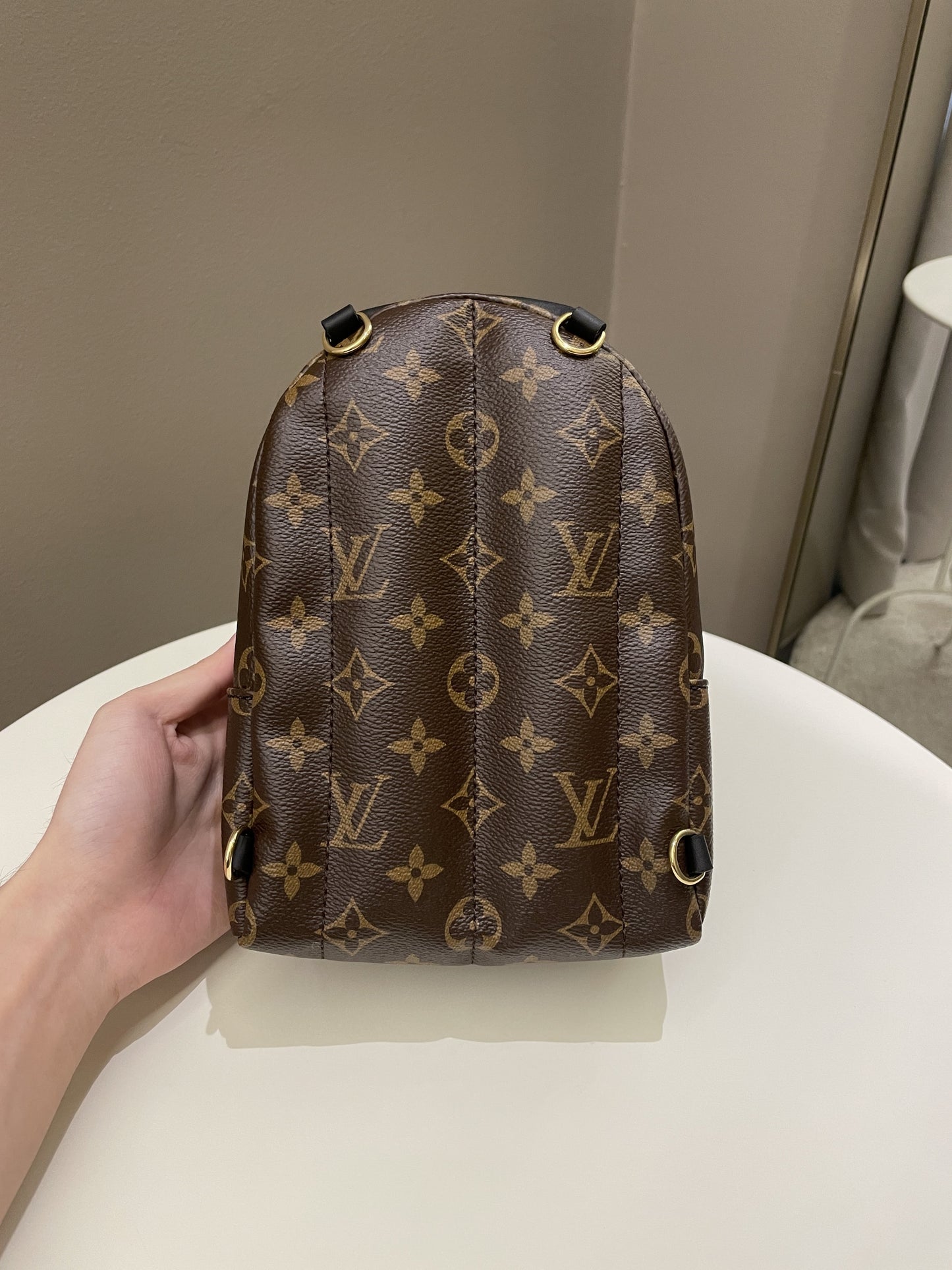 Louis Vuitton Palm Spring Mini Backpack Classic Monogram