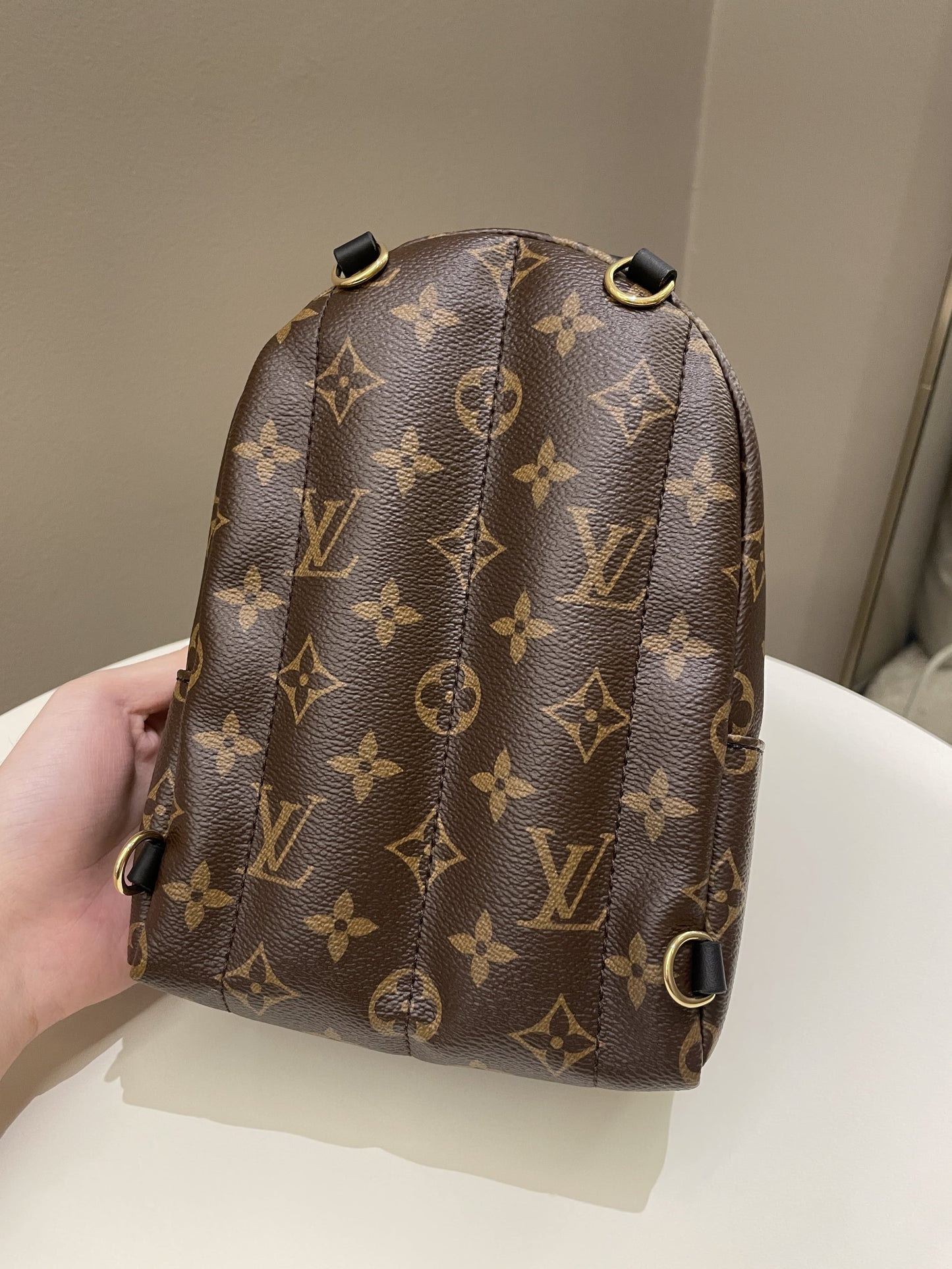 Louis Vuitton Palm Spring Mini Backpack Classic Monogram