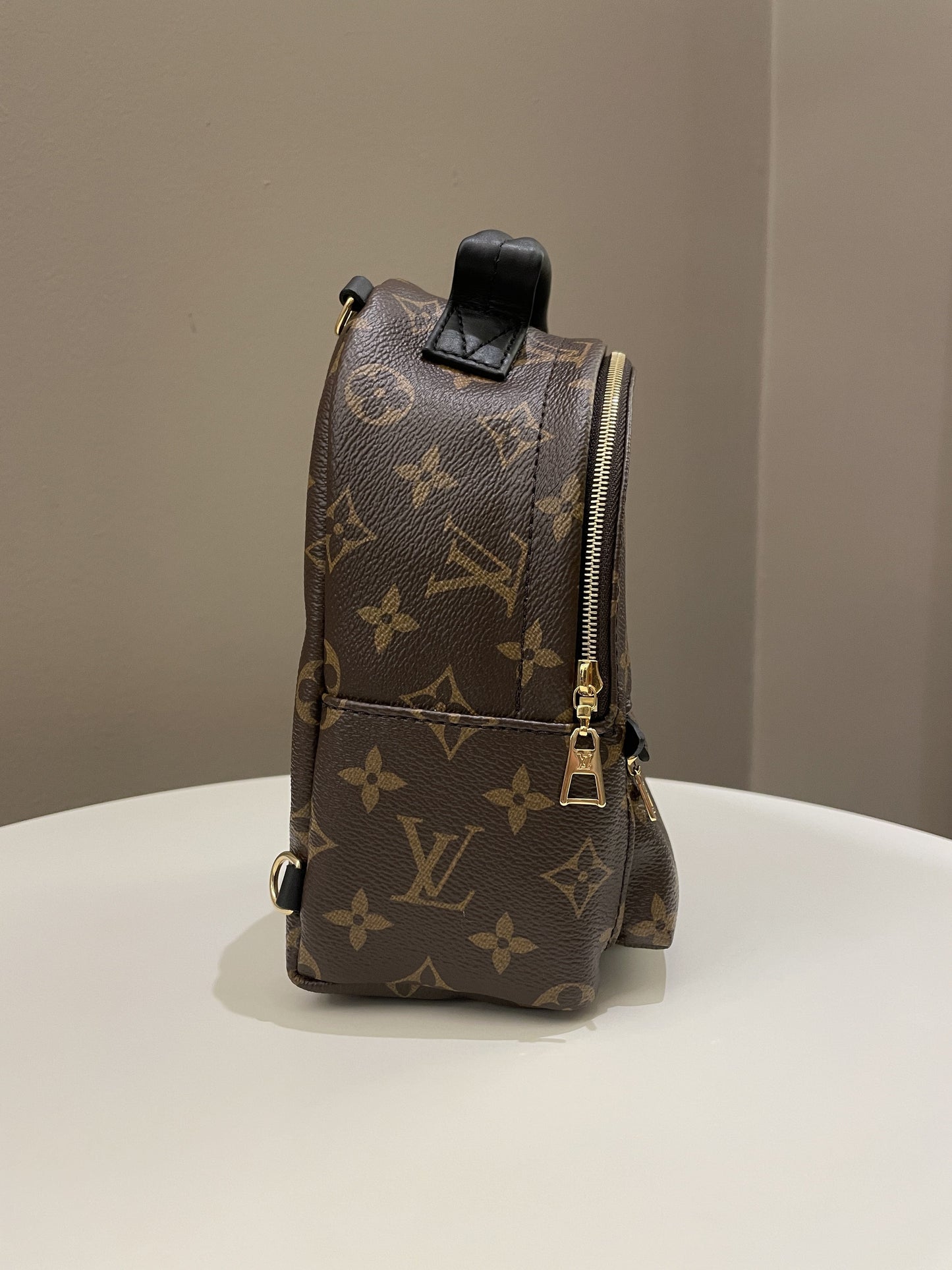 Louis Vuitton Palm Spring Mini Backpack Classic Monogram