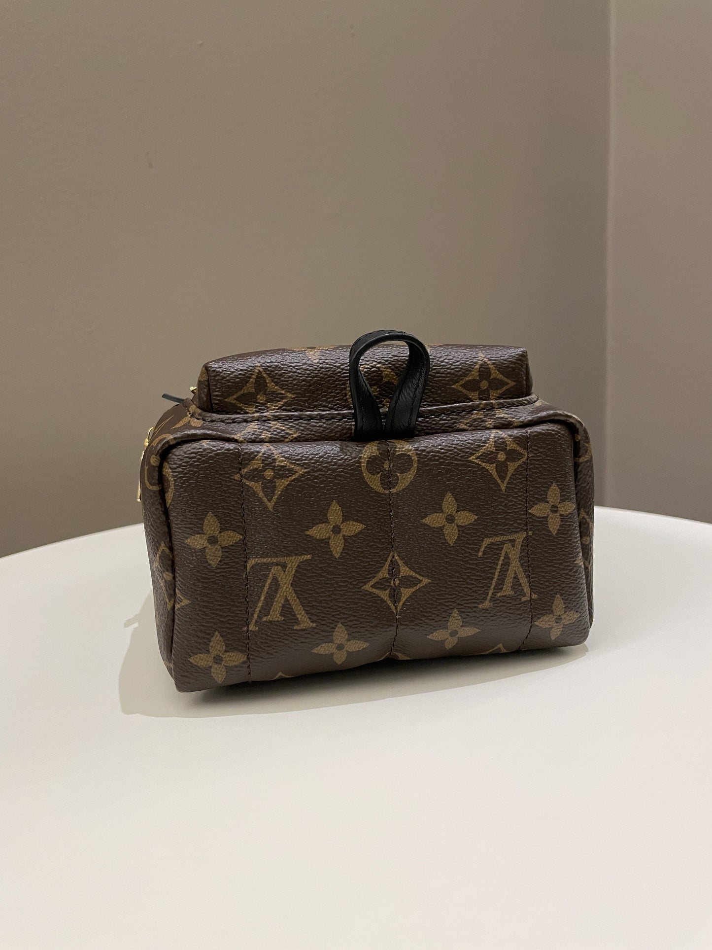 Louis Vuitton Palm Spring Mini Backpack Classic Monogram