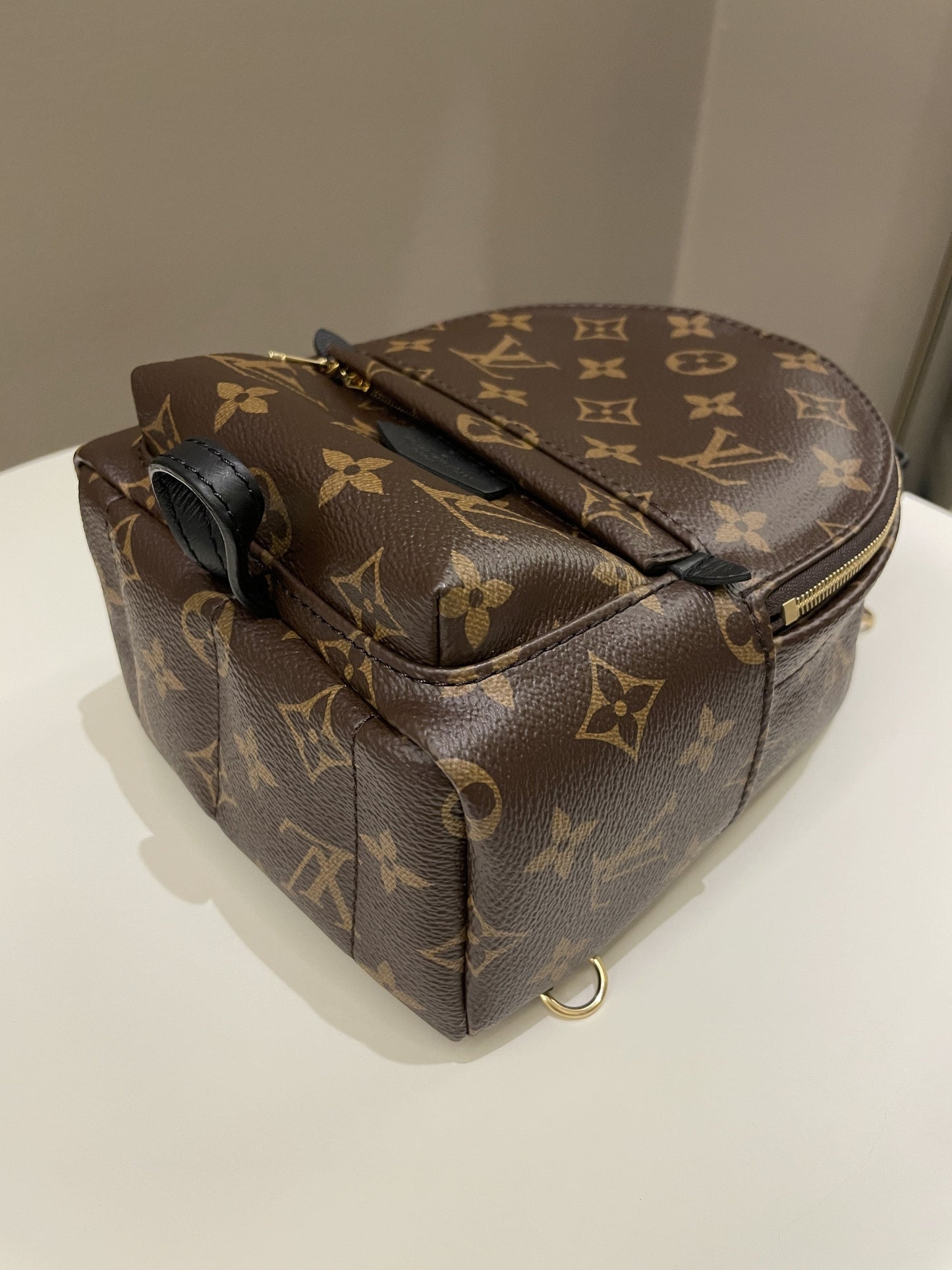 Louis Vuitton Palm Spring Mini Backpack Classic Monogram