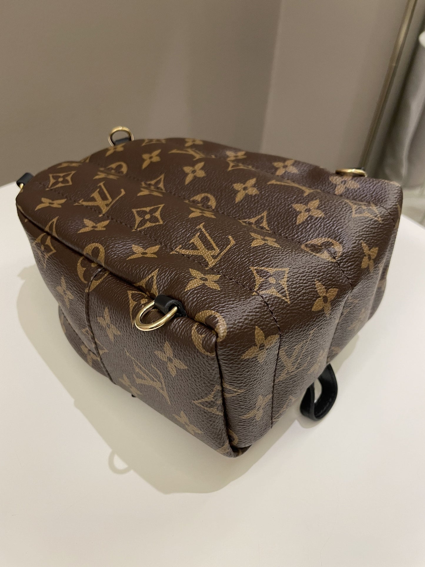 Louis Vuitton Palm Spring Mini Backpack Classic Monogram