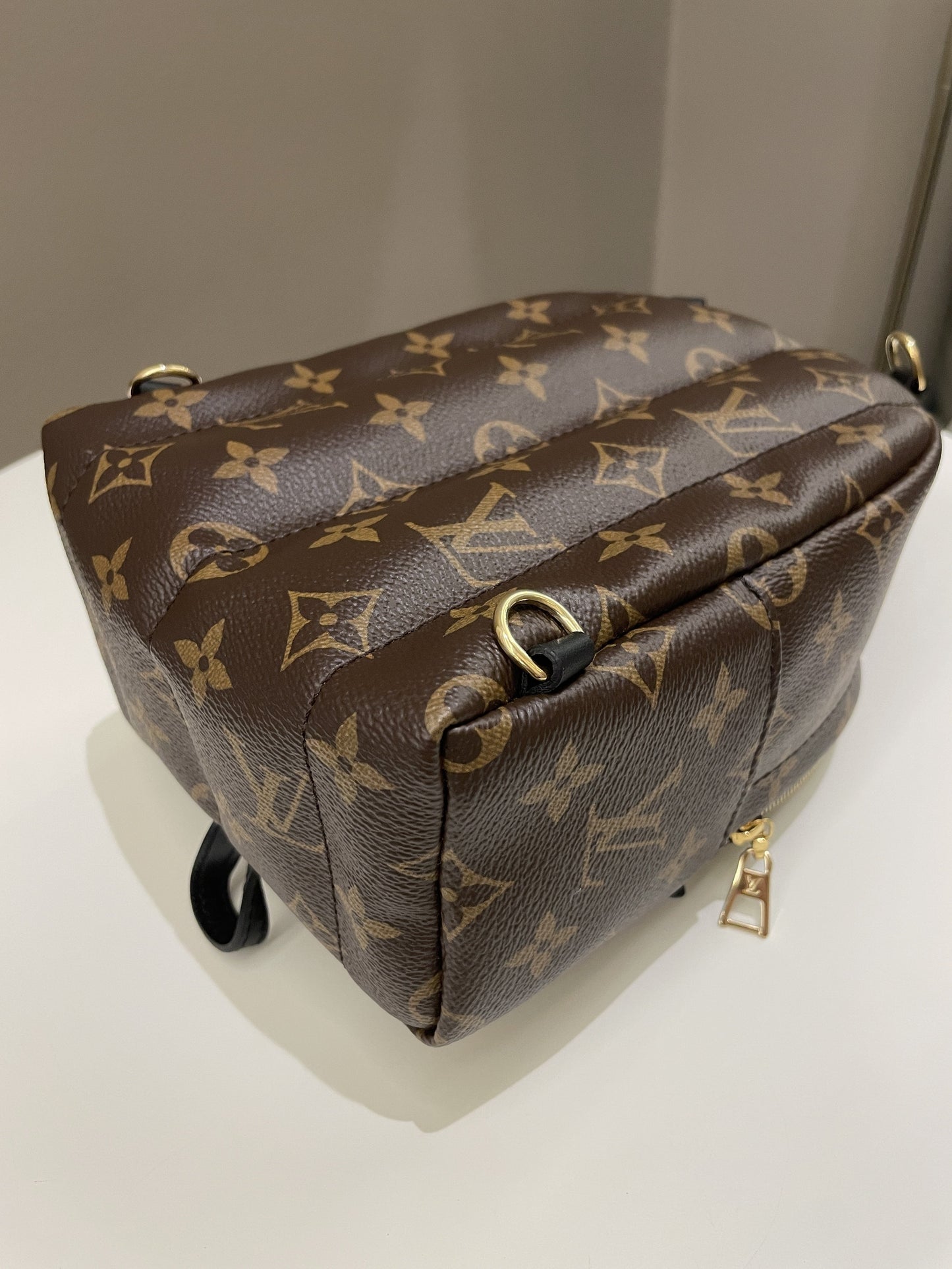 Louis Vuitton Palm Spring Mini Backpack Classic Monogram