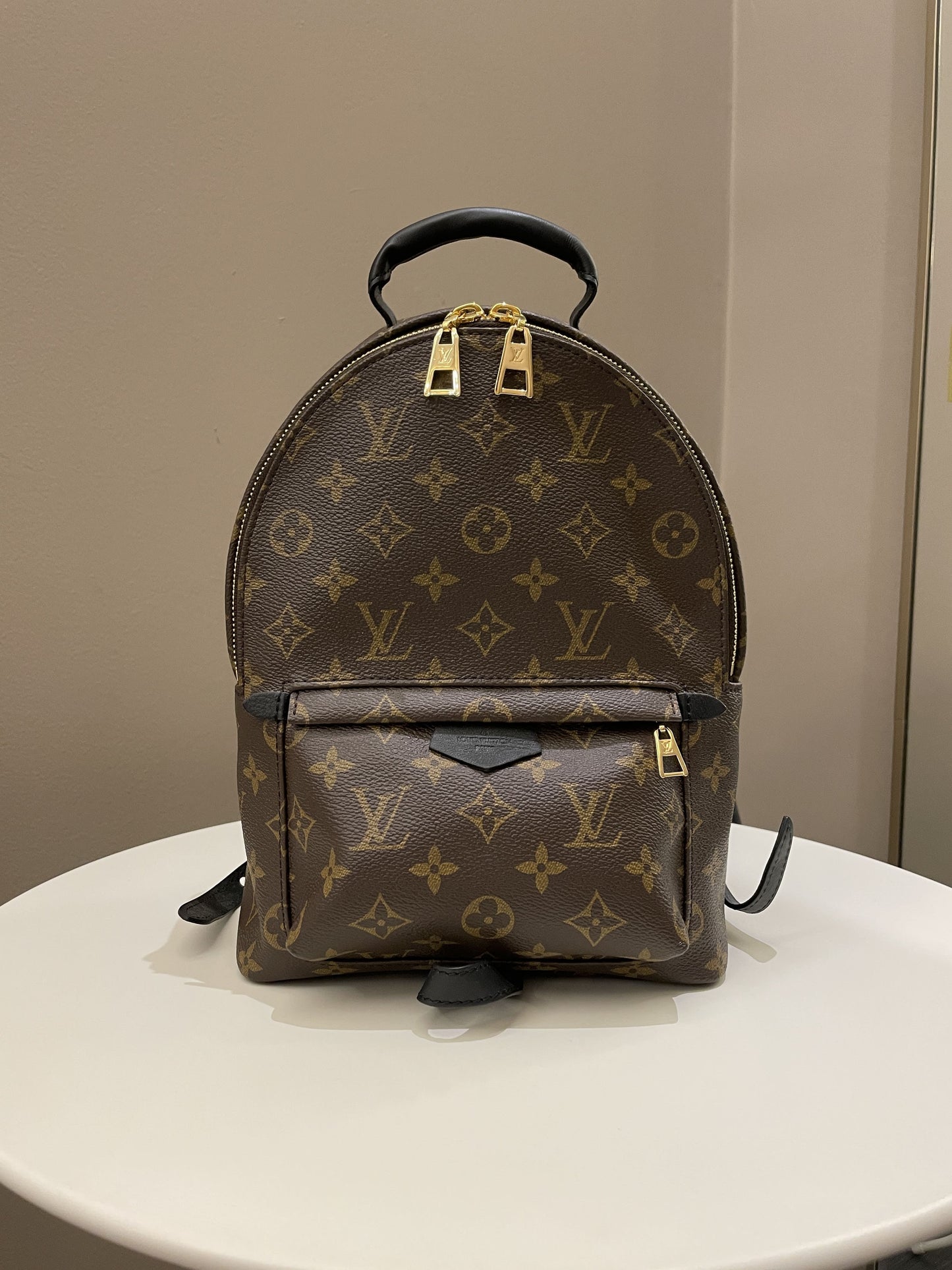 Louis Vuitton Palm Spring Backpack PM Classic Monogram