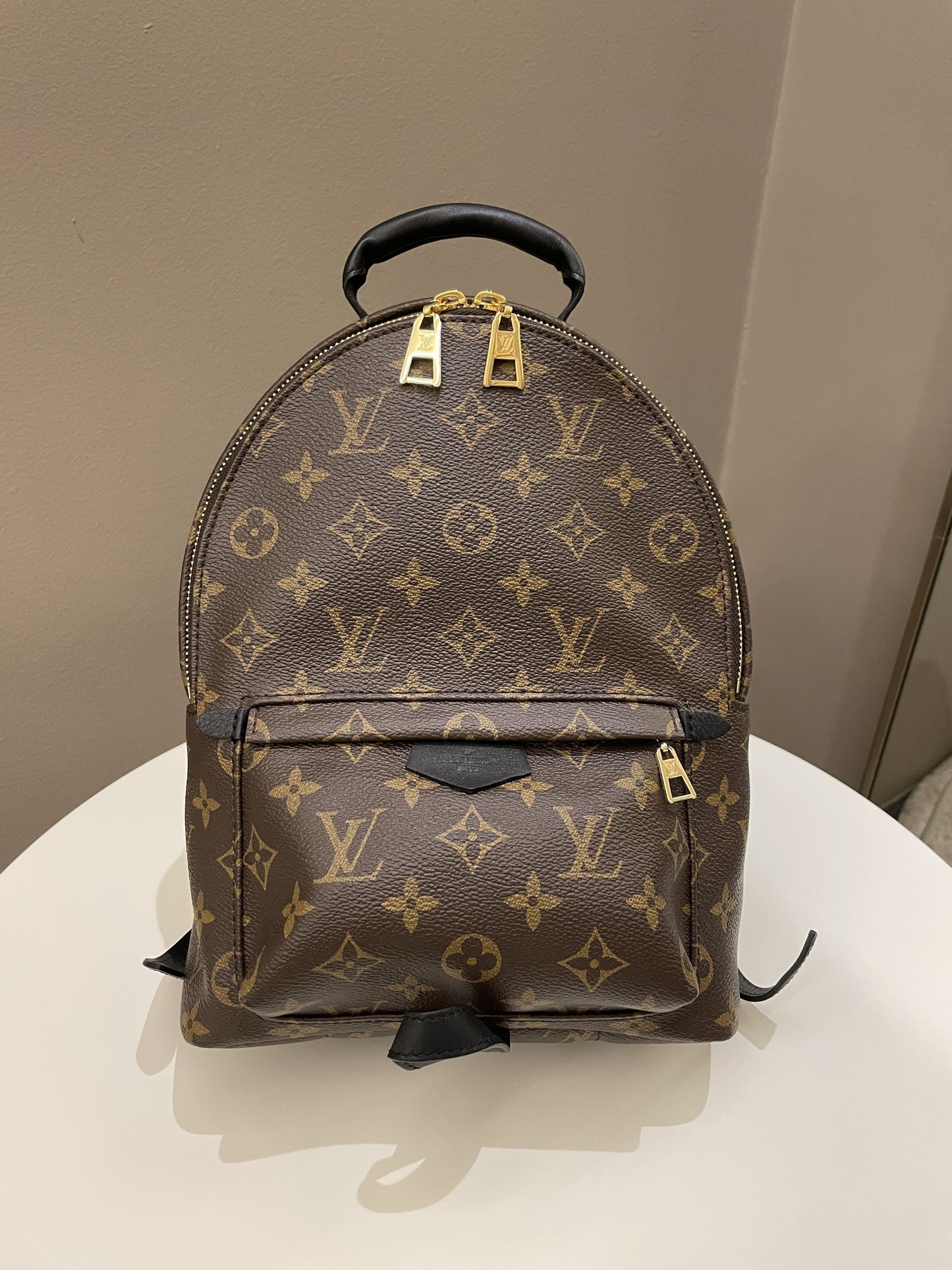 Louis Vuitton Palm Spring Backpack PM Classic Monogram