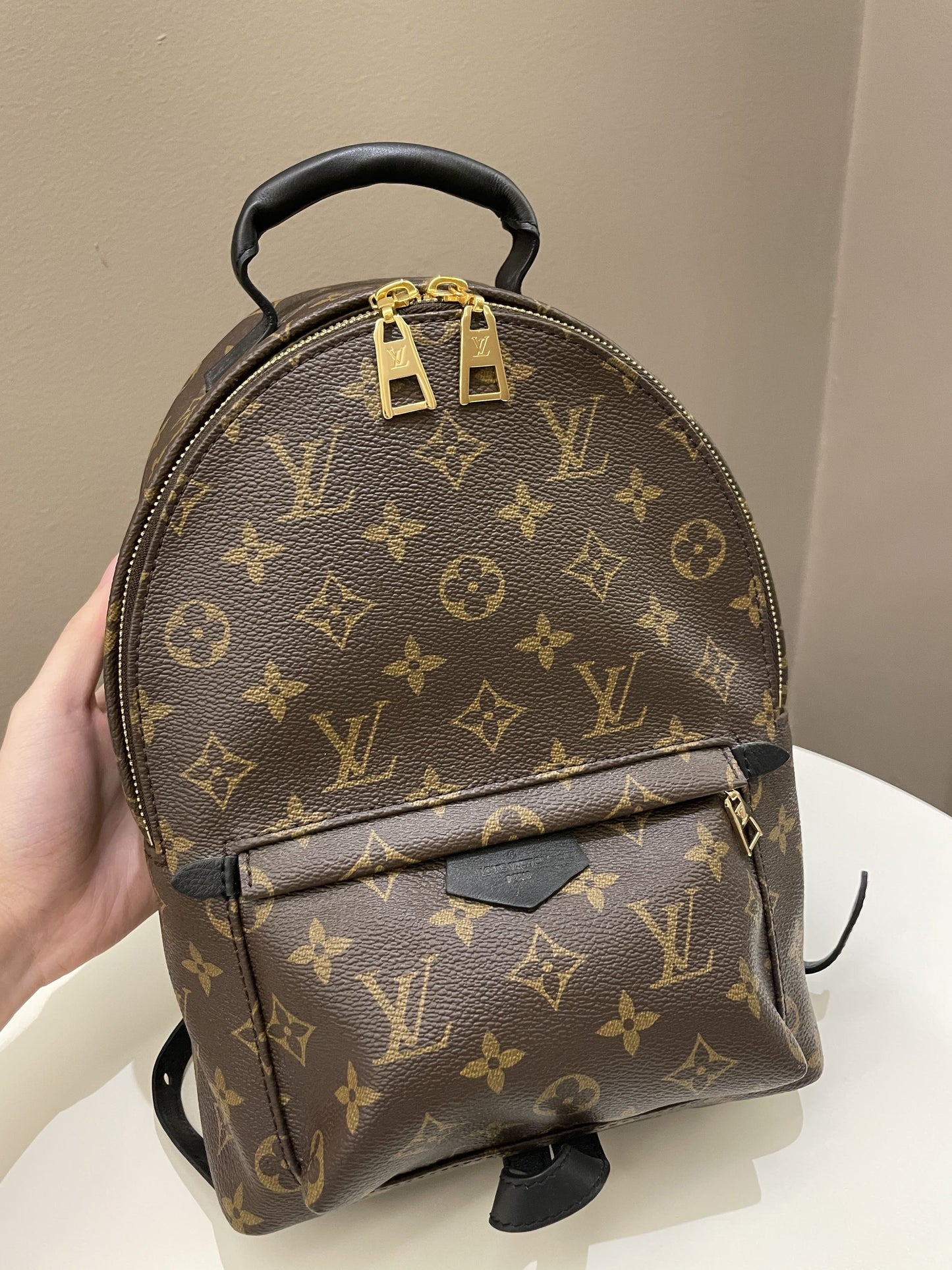 Louis Vuitton Palm Spring Backpack PM Classic Monogram