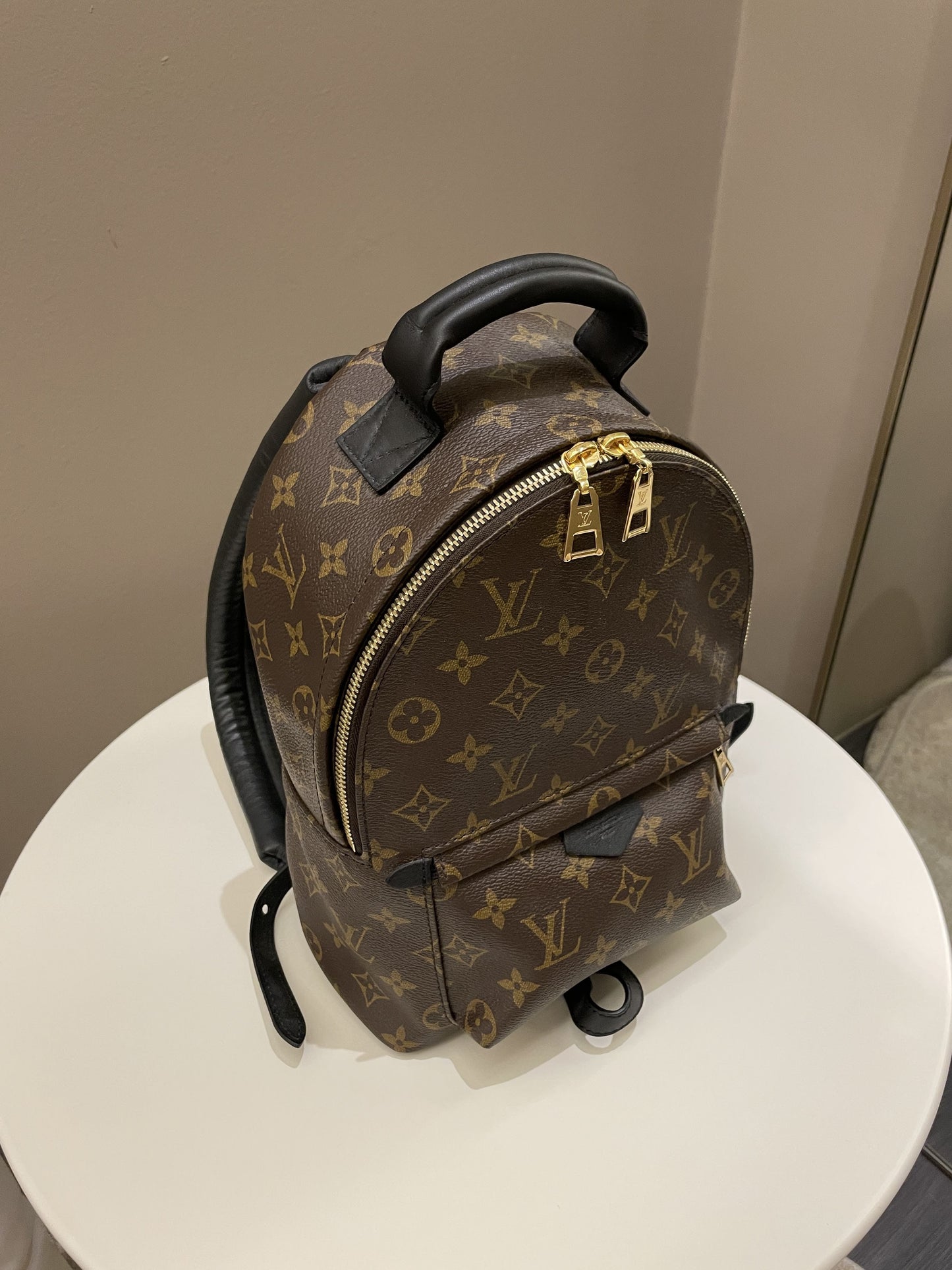 Louis Vuitton Palm Spring Backpack PM Classic Monogram