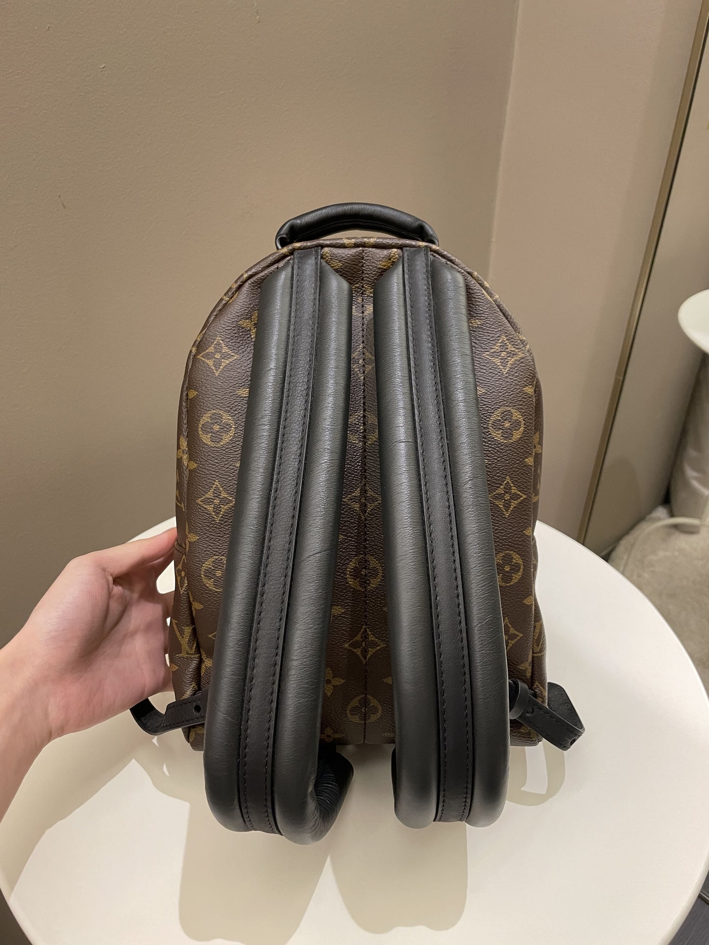 Louis Vuitton Palm Spring Backpack PM Classic Monogram