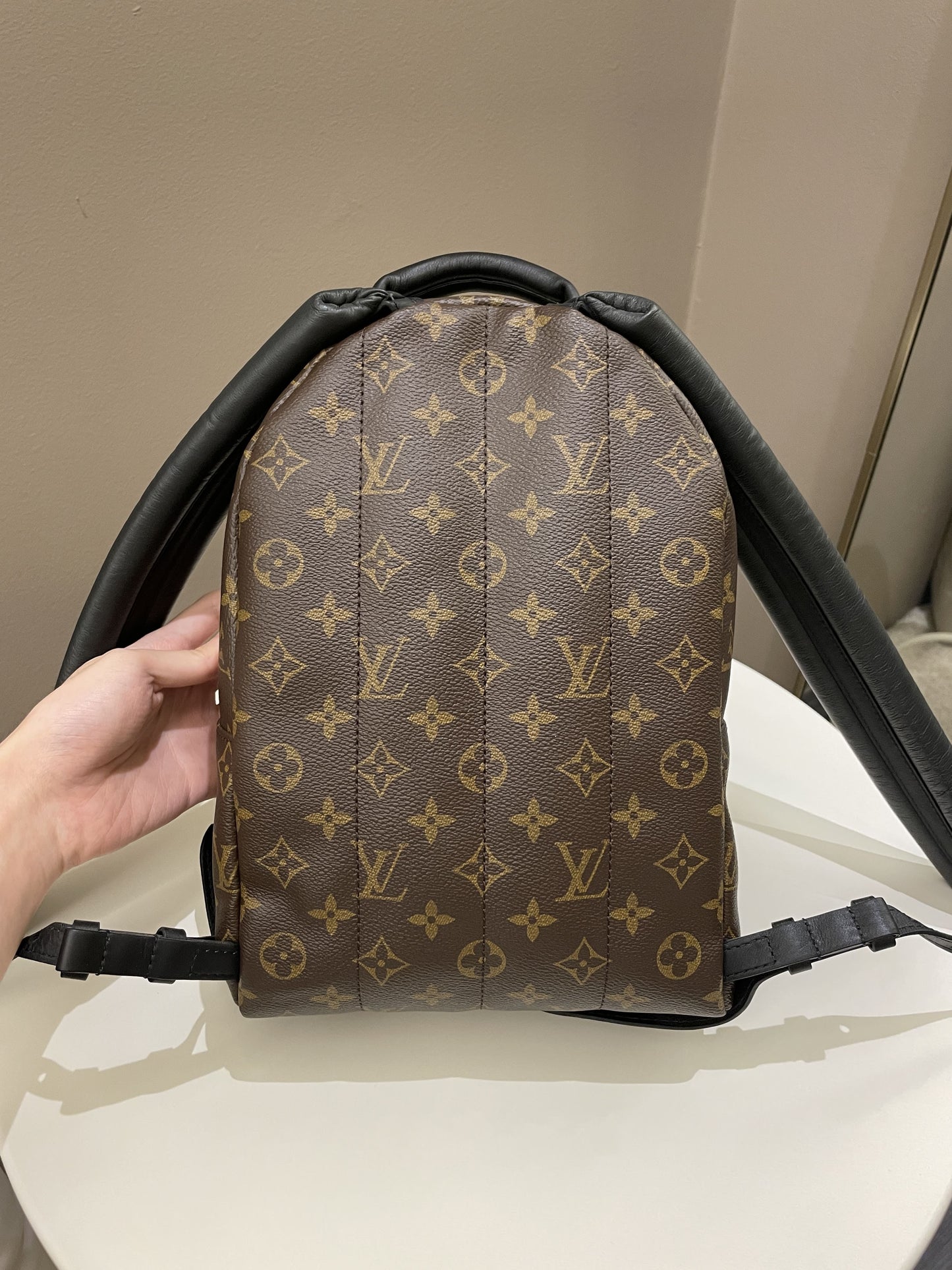 Louis Vuitton Palm Spring Backpack PM Classic Monogram